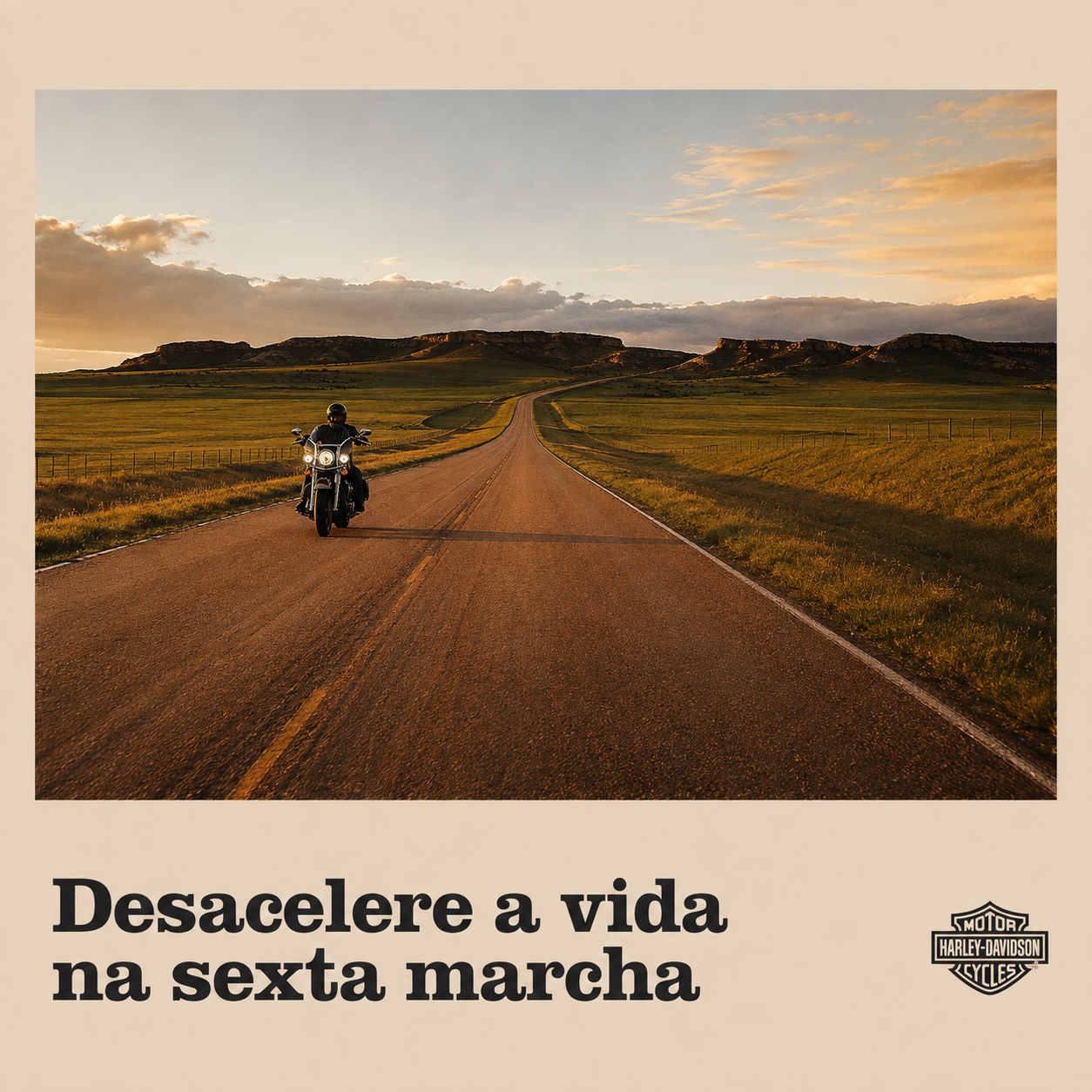 Harley-Davidson - Desacelere