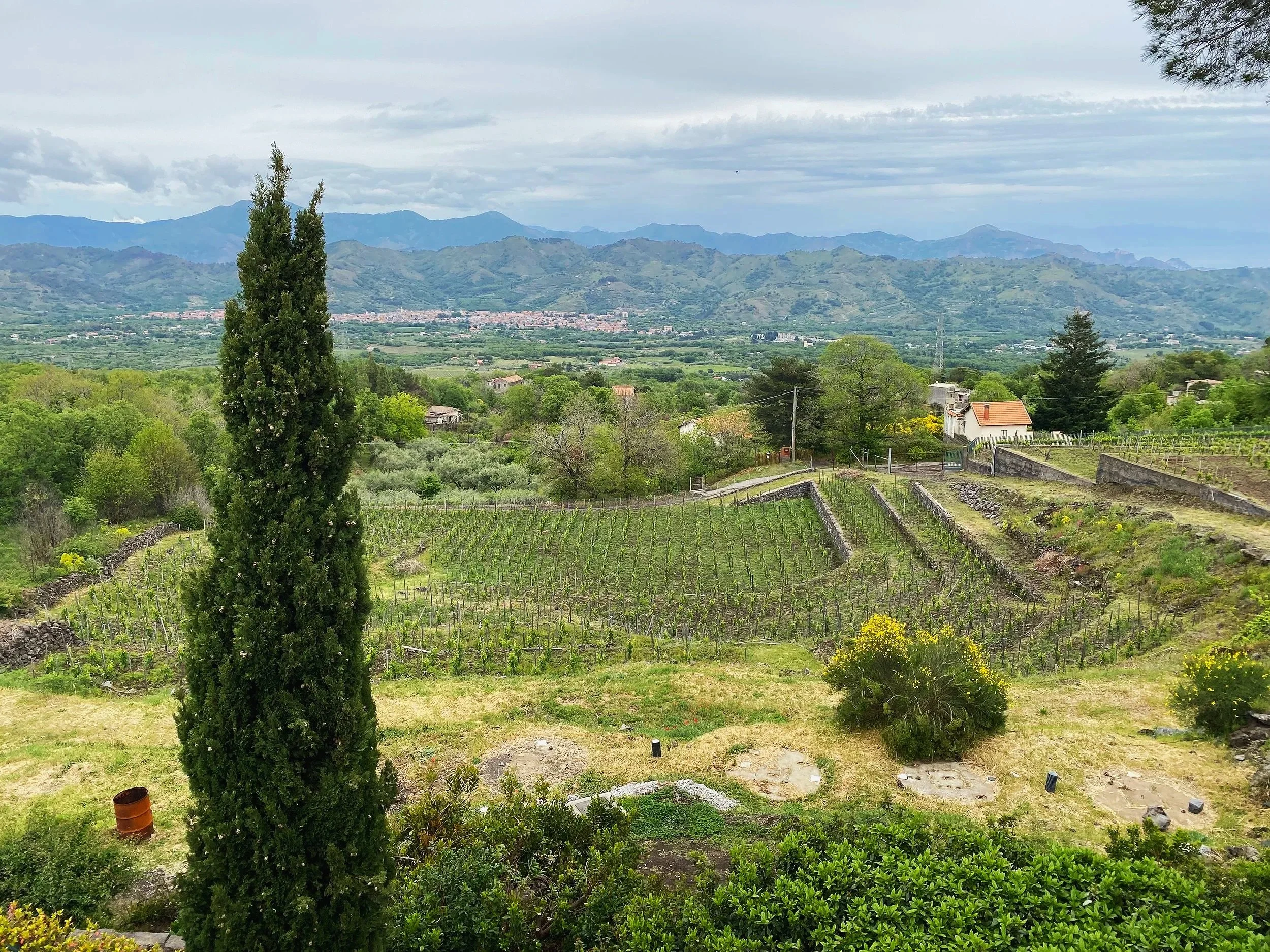 You can go to a winery in Sicily, Italy and enjoy yourself… and the bread.