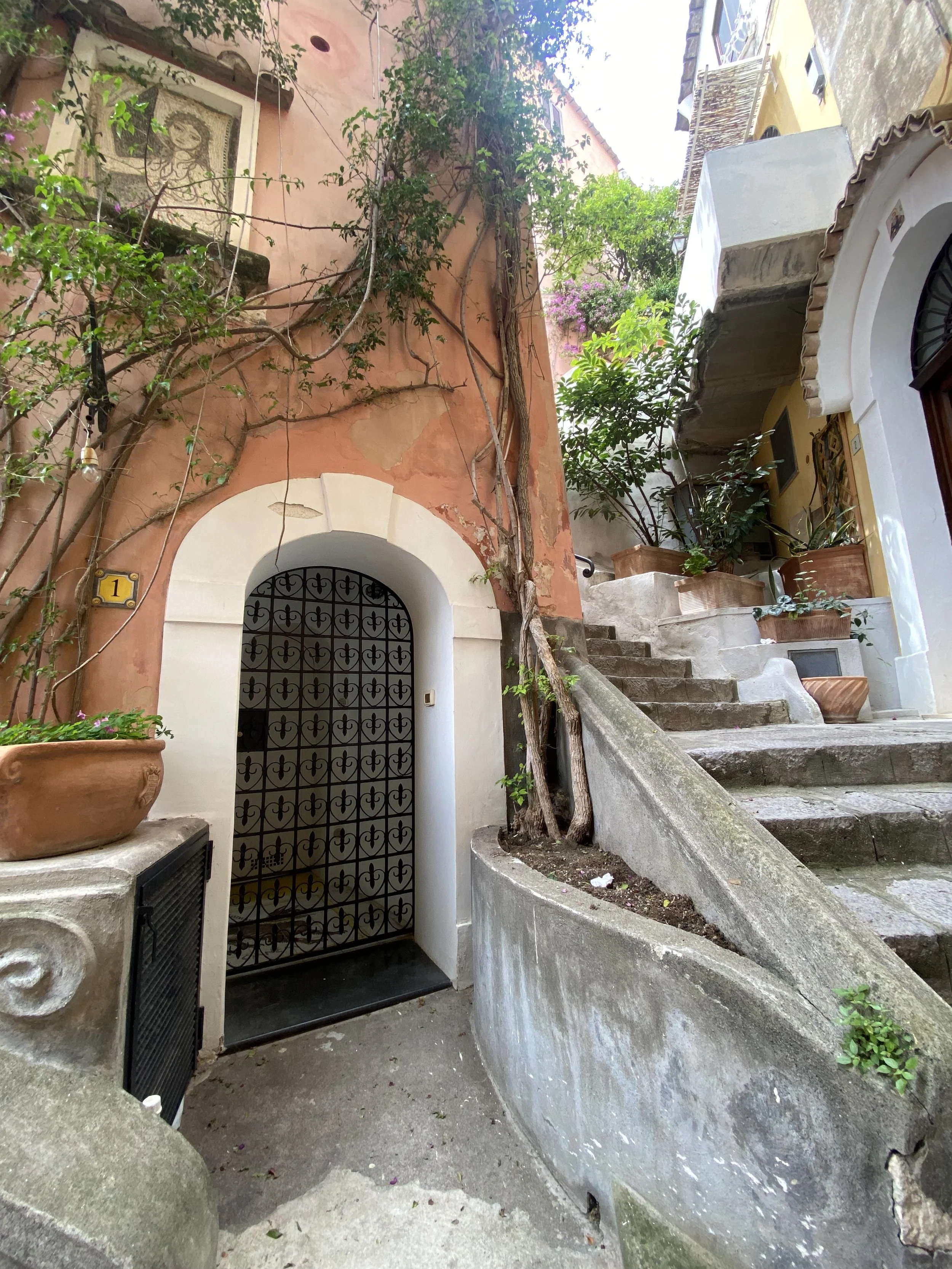 Steps of Positano.jpeg