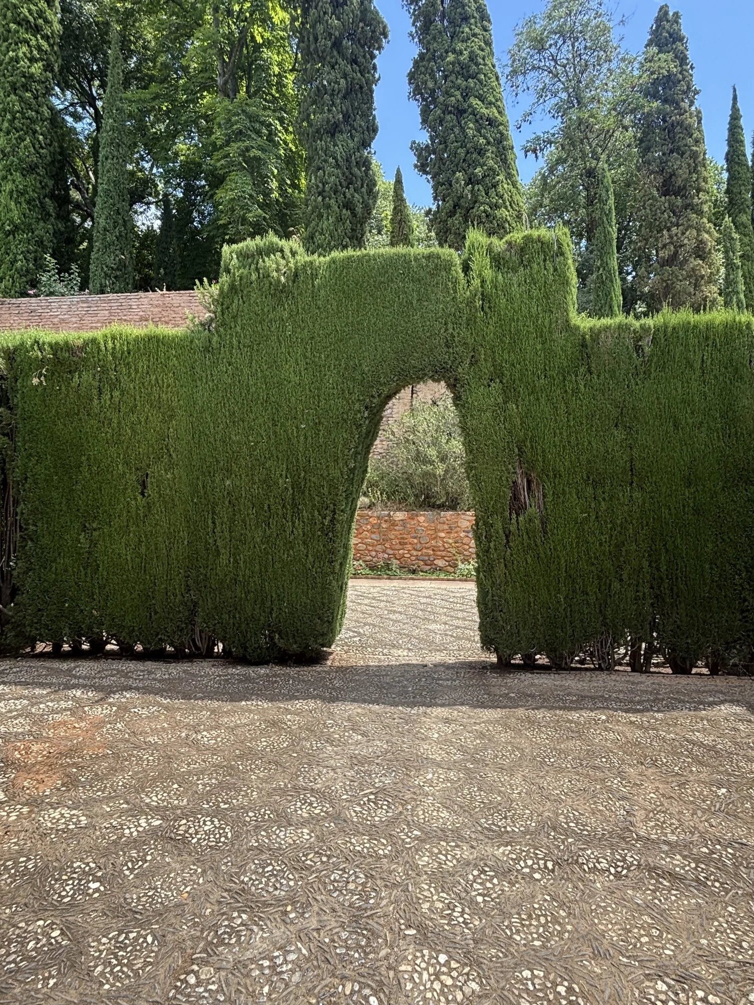 IMG_3309.jpeg