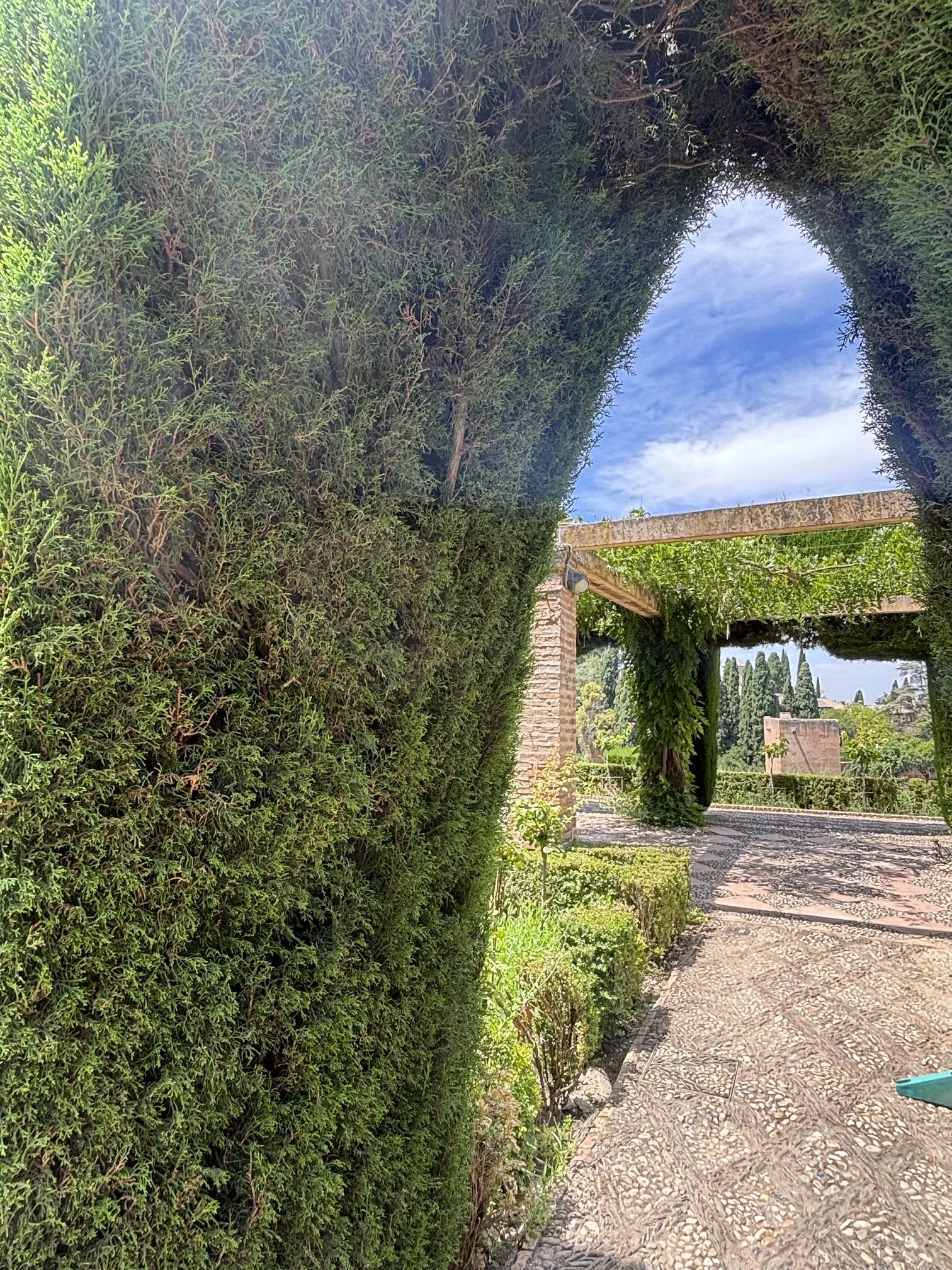IMG_3313.jpeg