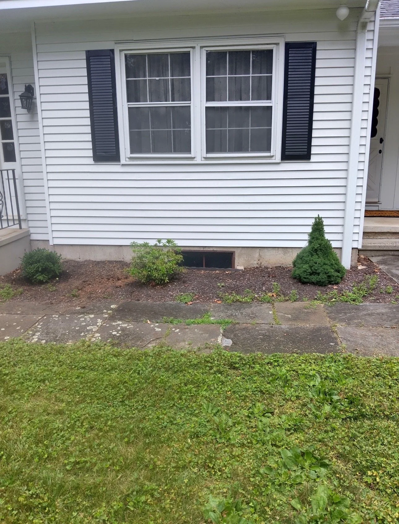 before - mulch 4