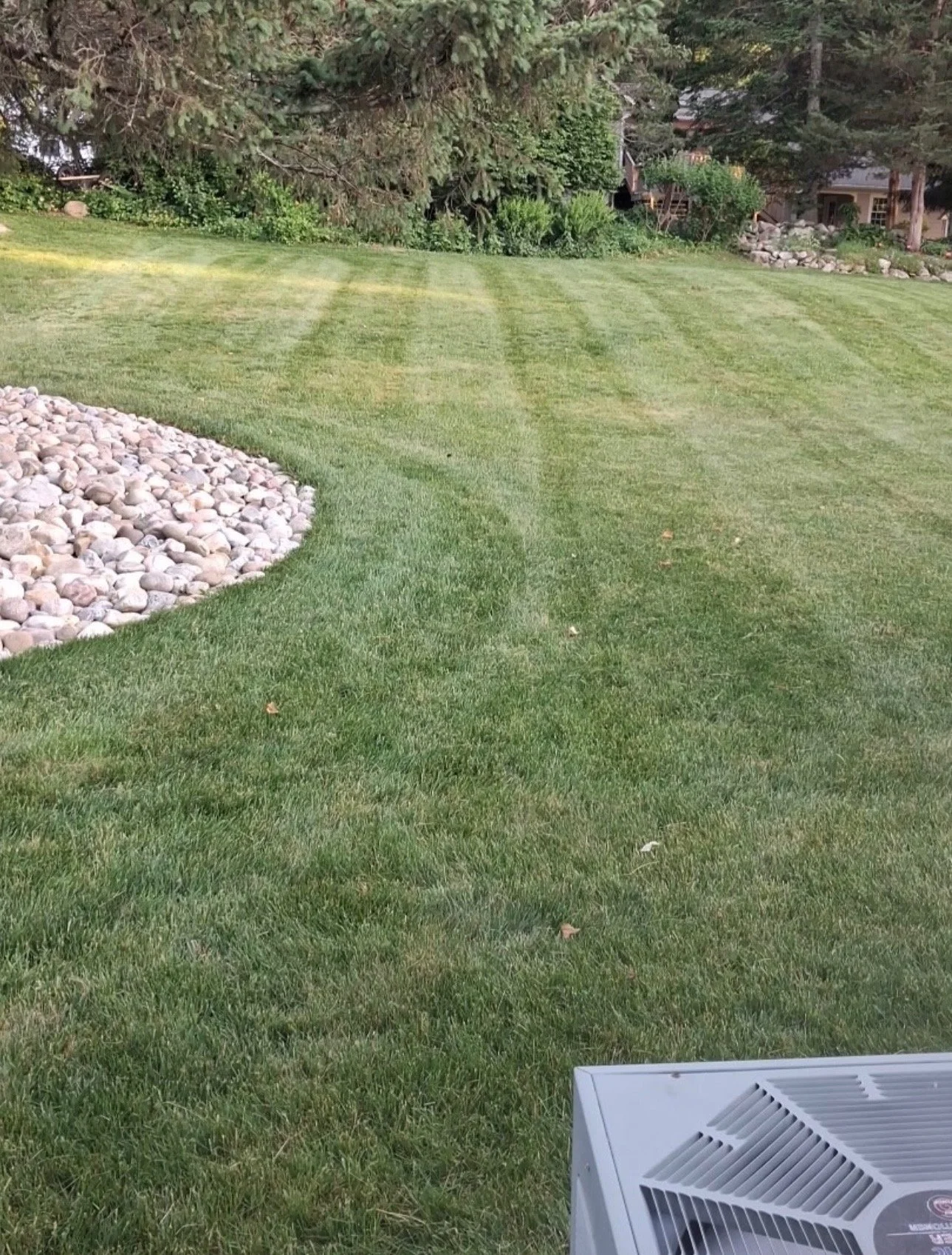 completed lawn 1