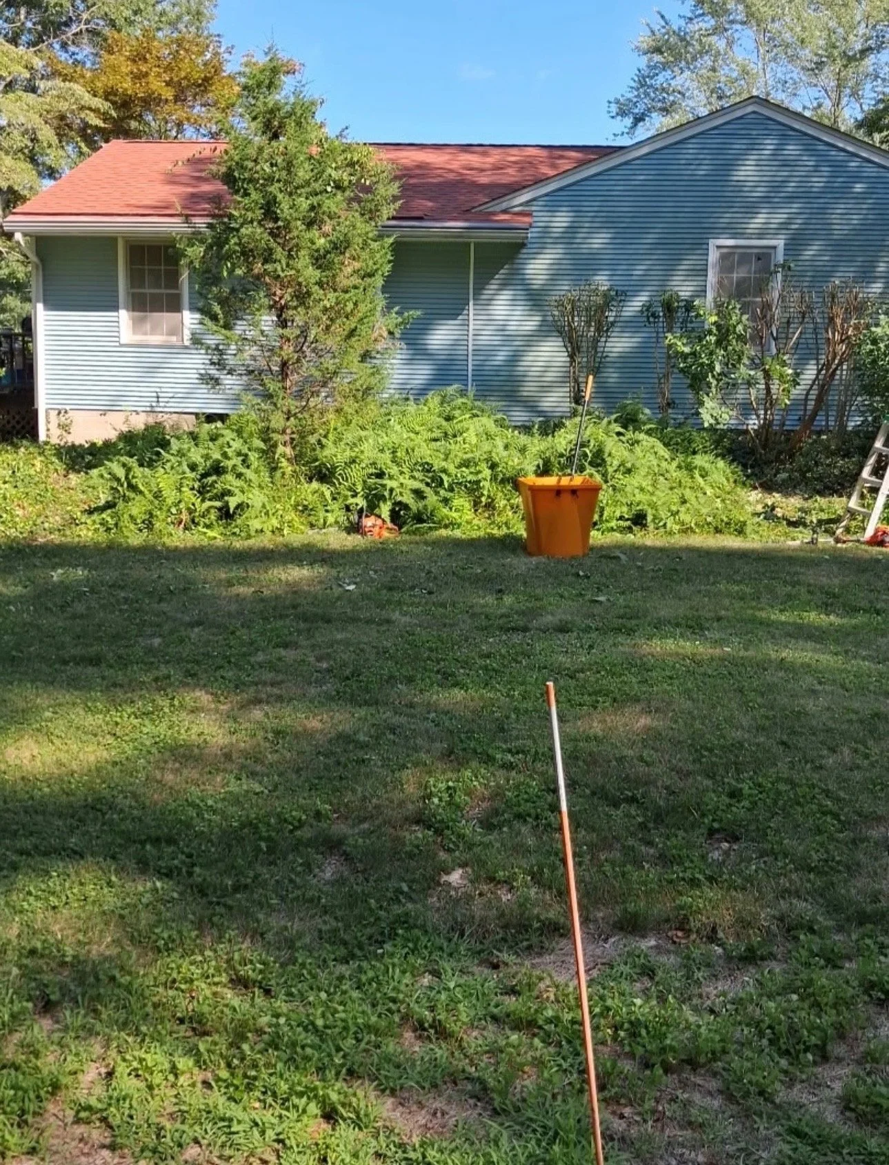 after - trimming 1