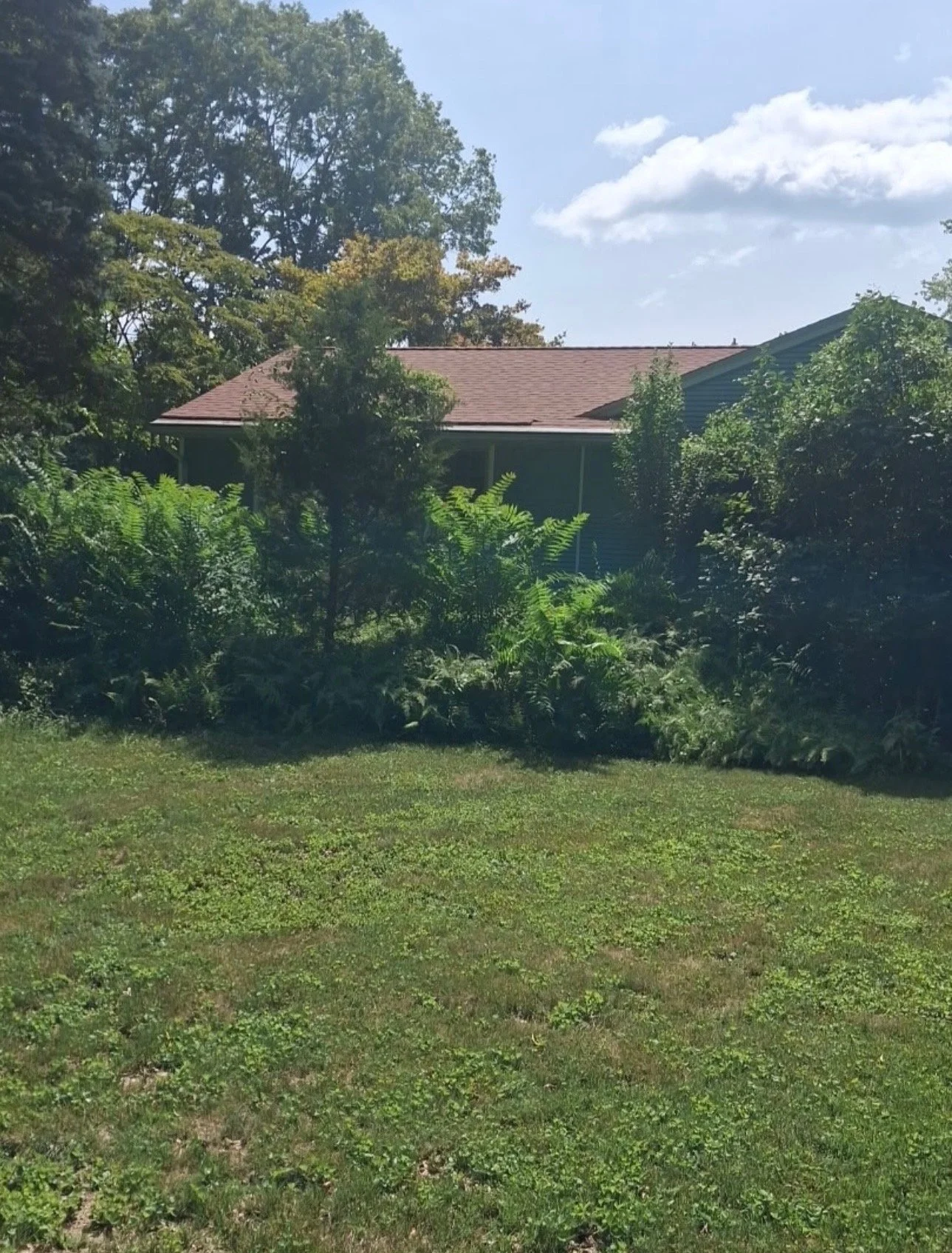 before - trimming 1