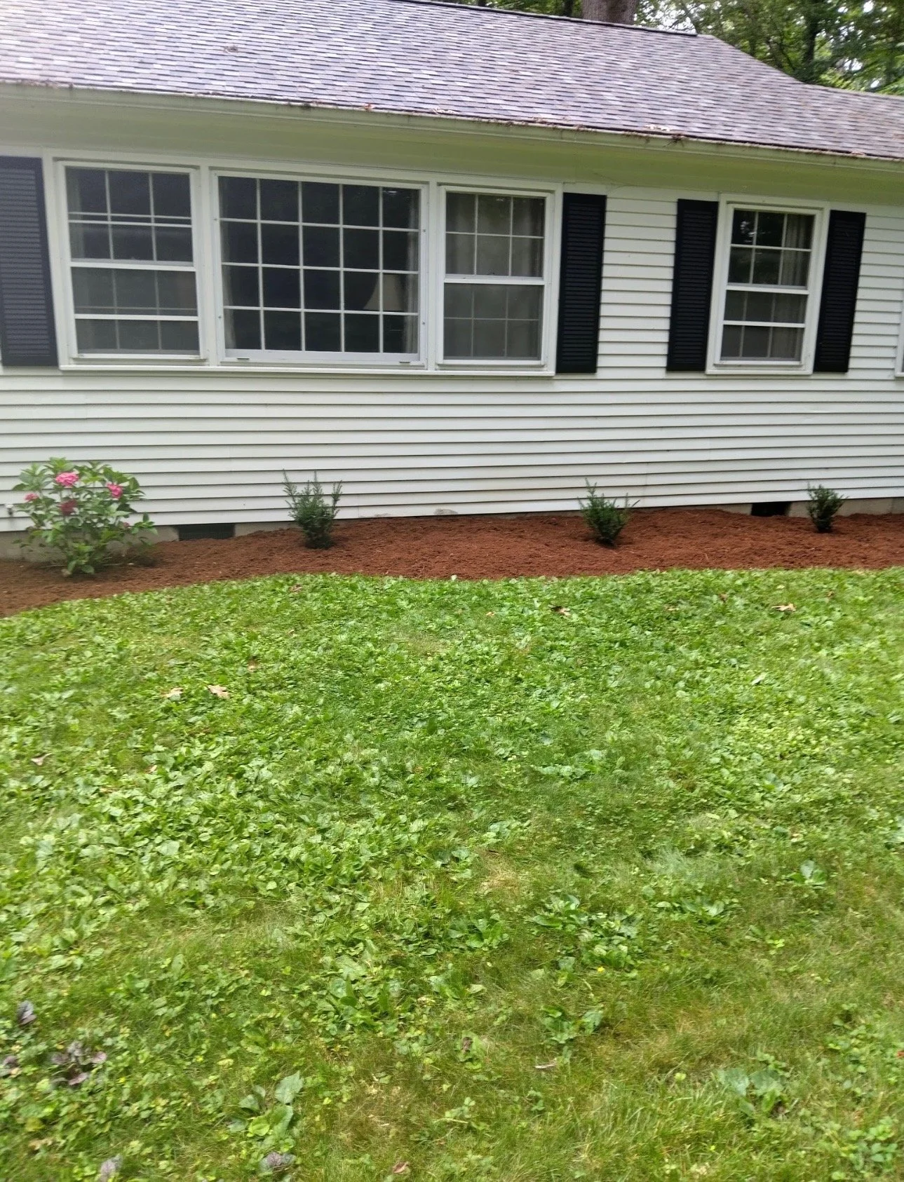 after - mulch 3