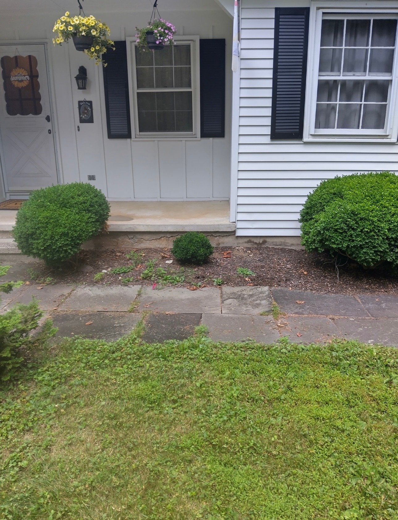 before - mulch 2