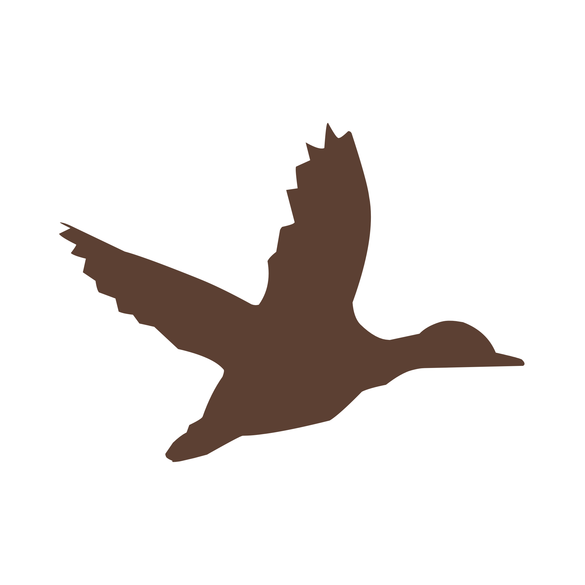Silhouette of a duck flying.