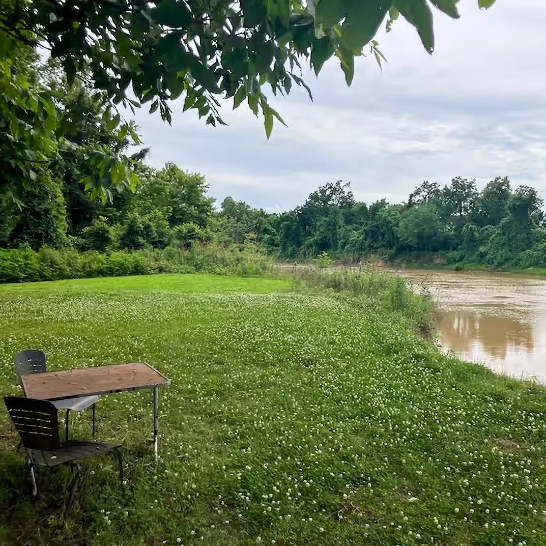 A lakeside scene with two chairs and a small table under tree branches, surrounded by green grass and trees, near a body of water under a partly cloudy sky.