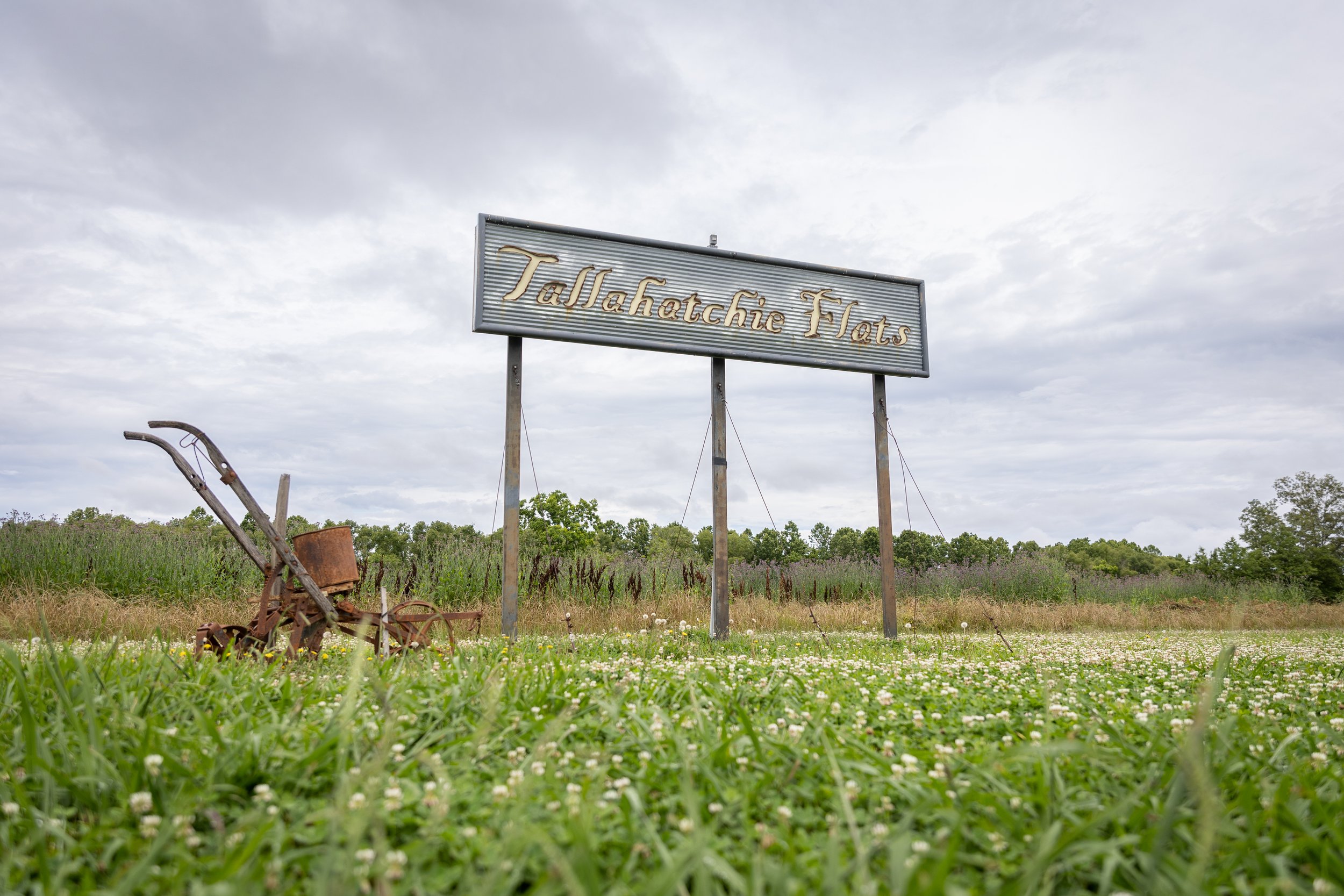Our unique metal sign leads the way.