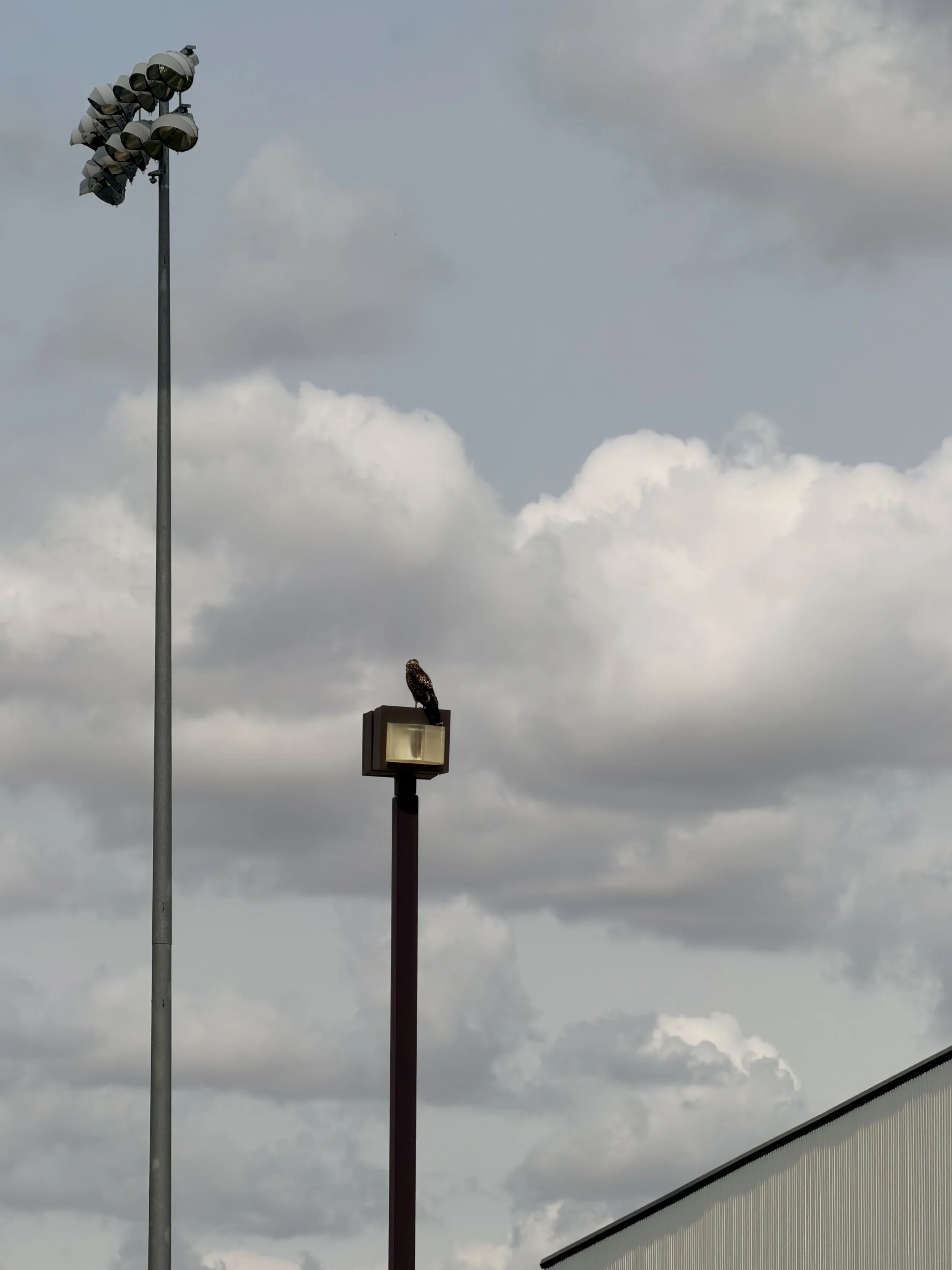 IMG_0495.jpeg