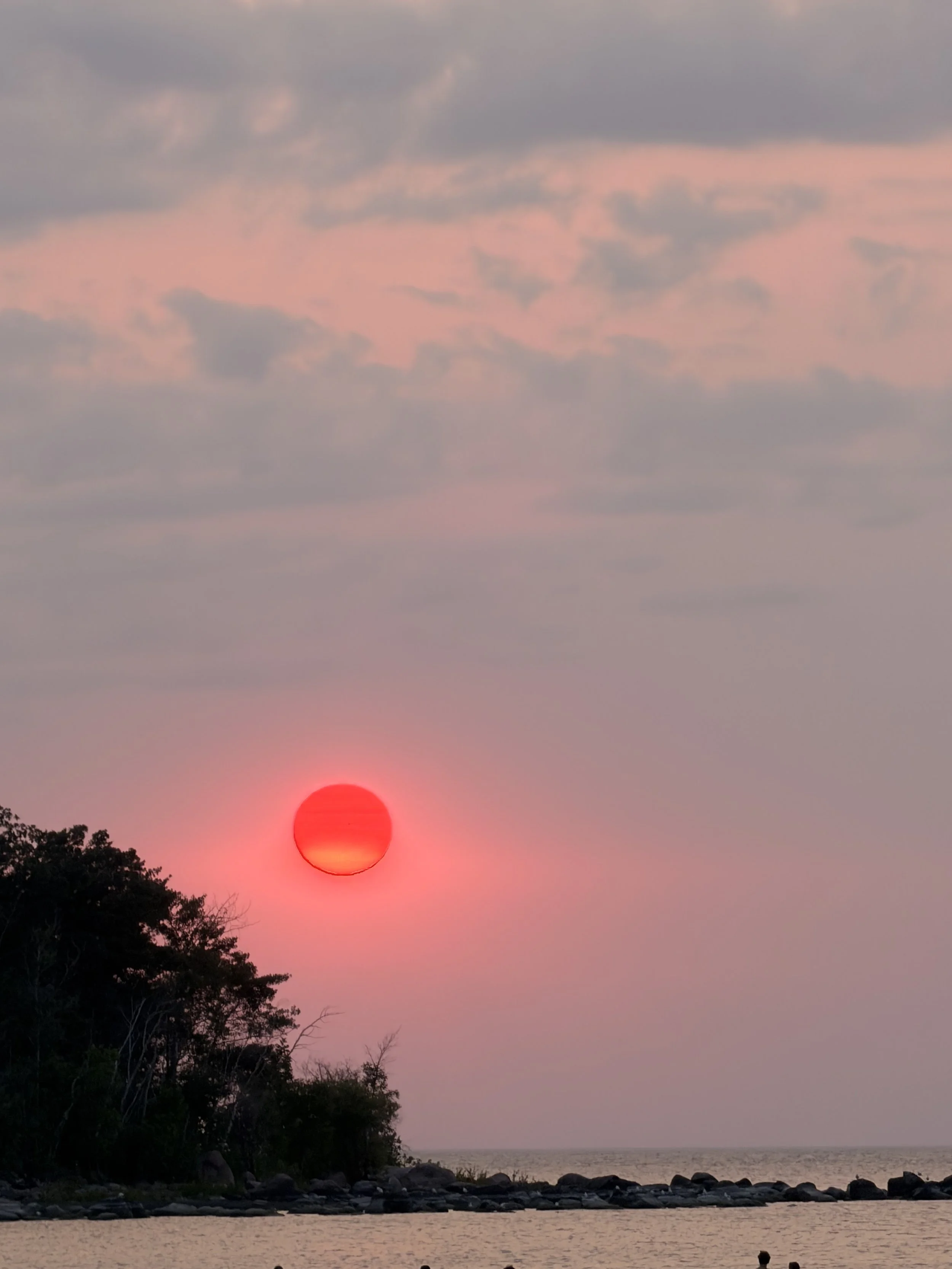 IMG_0279.jpeg