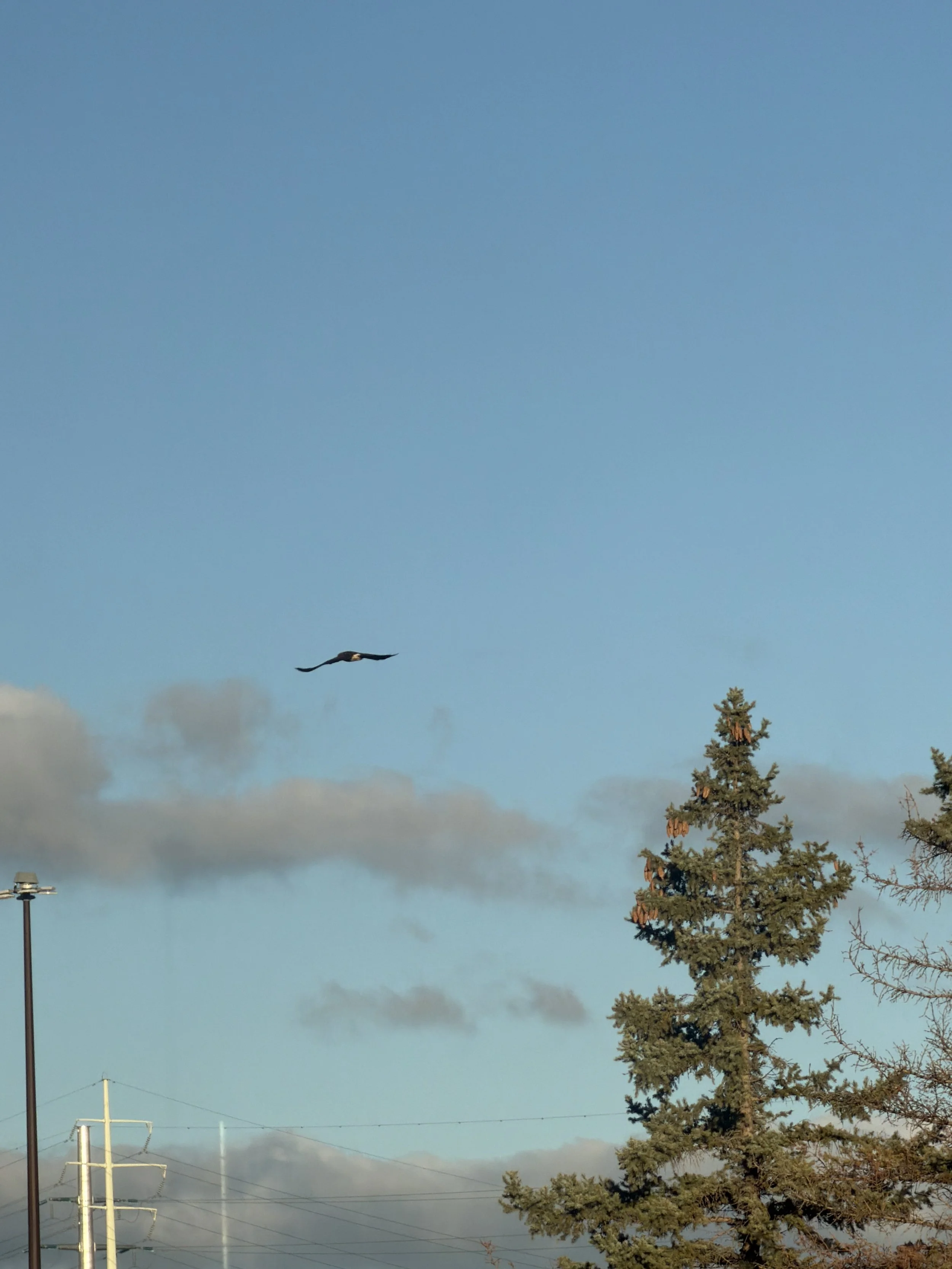 IMG_1691.jpeg
