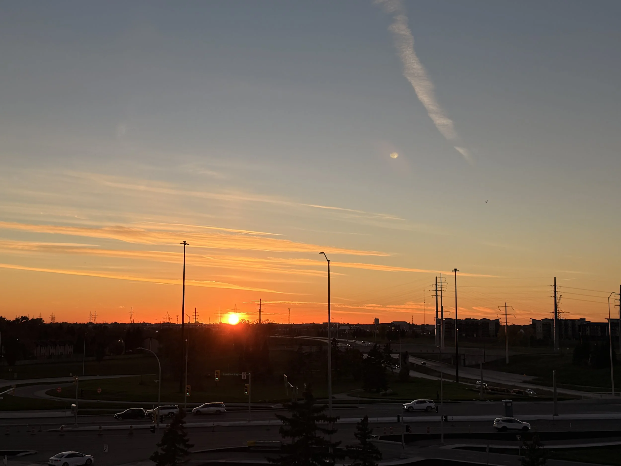IMG_2305.jpeg