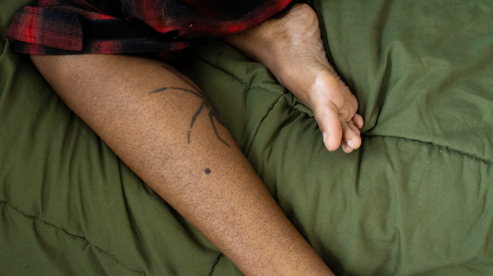 "there are crumbs in the bed" | "ink"