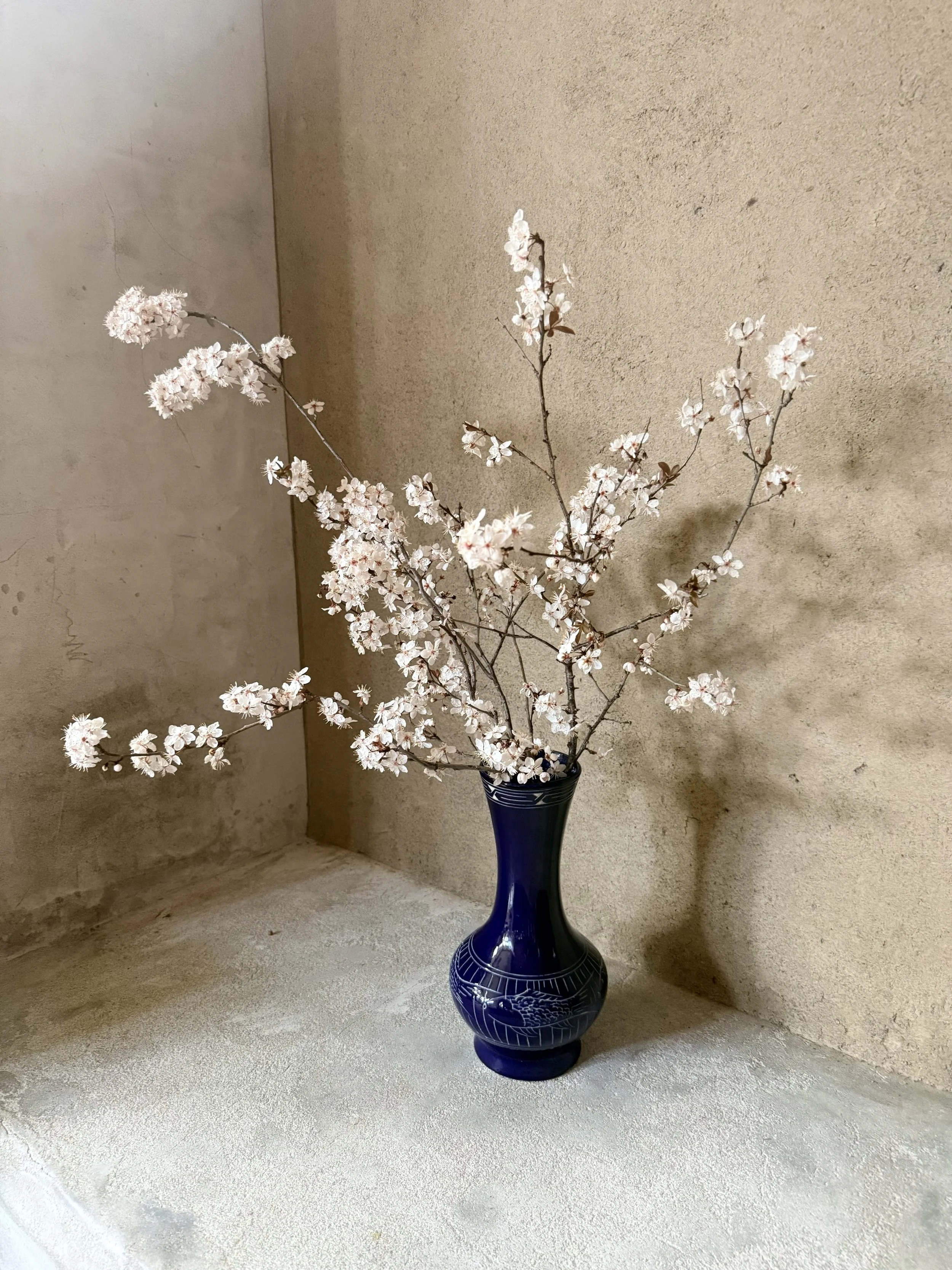 Cherry Blossoms.jpg