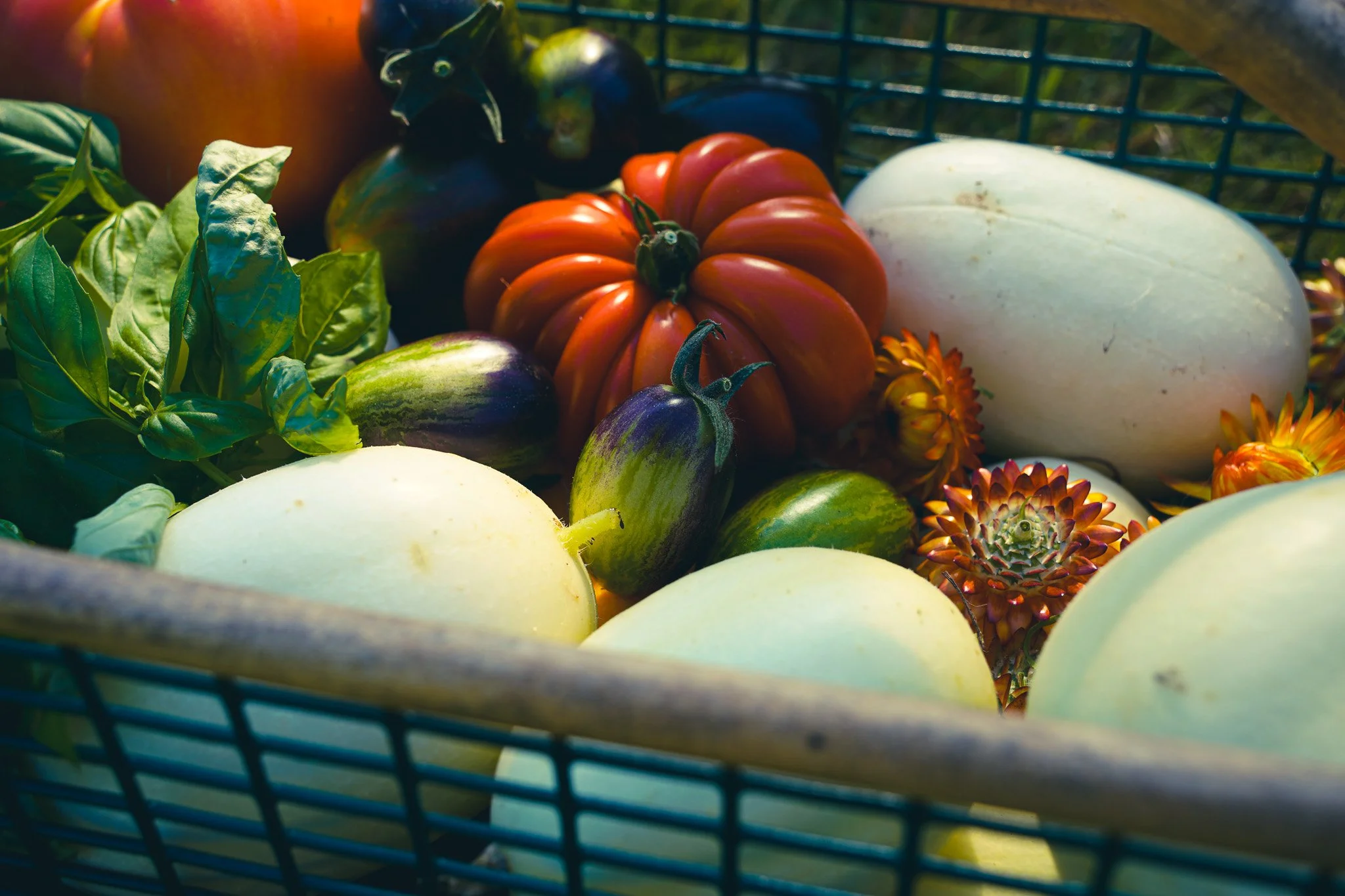 Full Harvest Basket Capella Farm.jpg