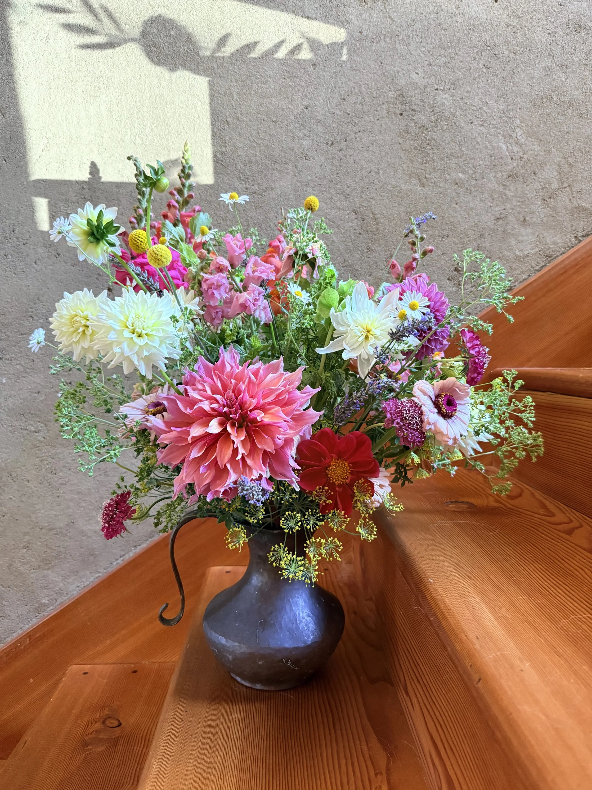 Dahlias and Dill Capella Farm.jpg