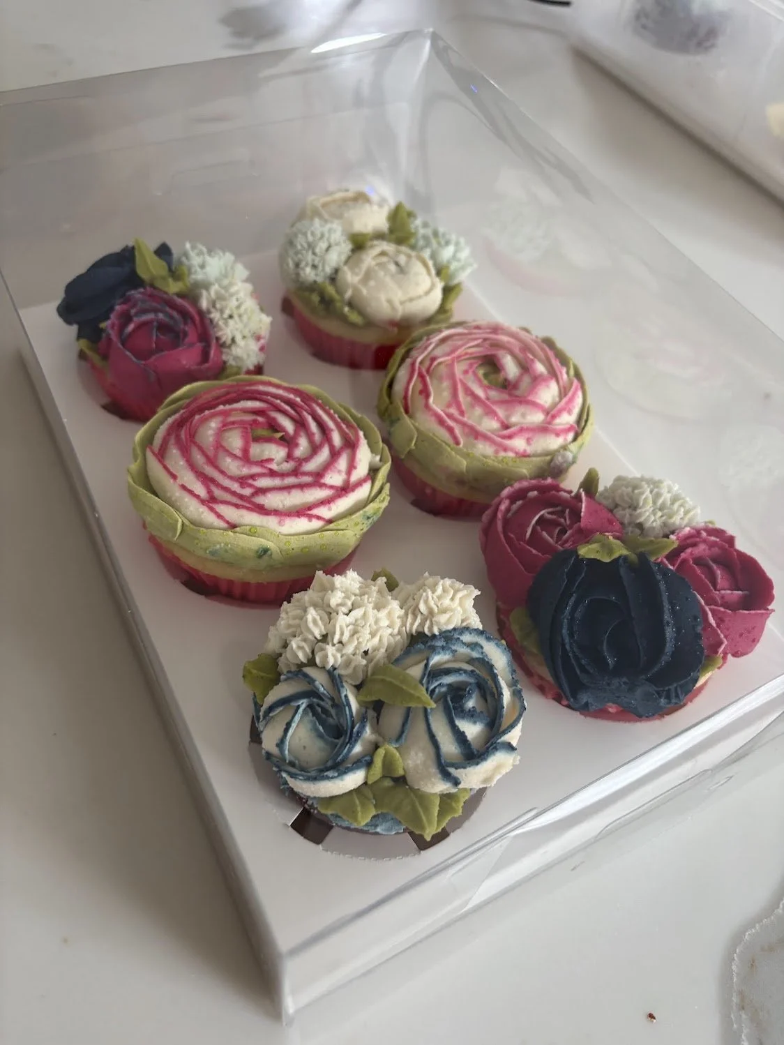 IMG_9717.jpg