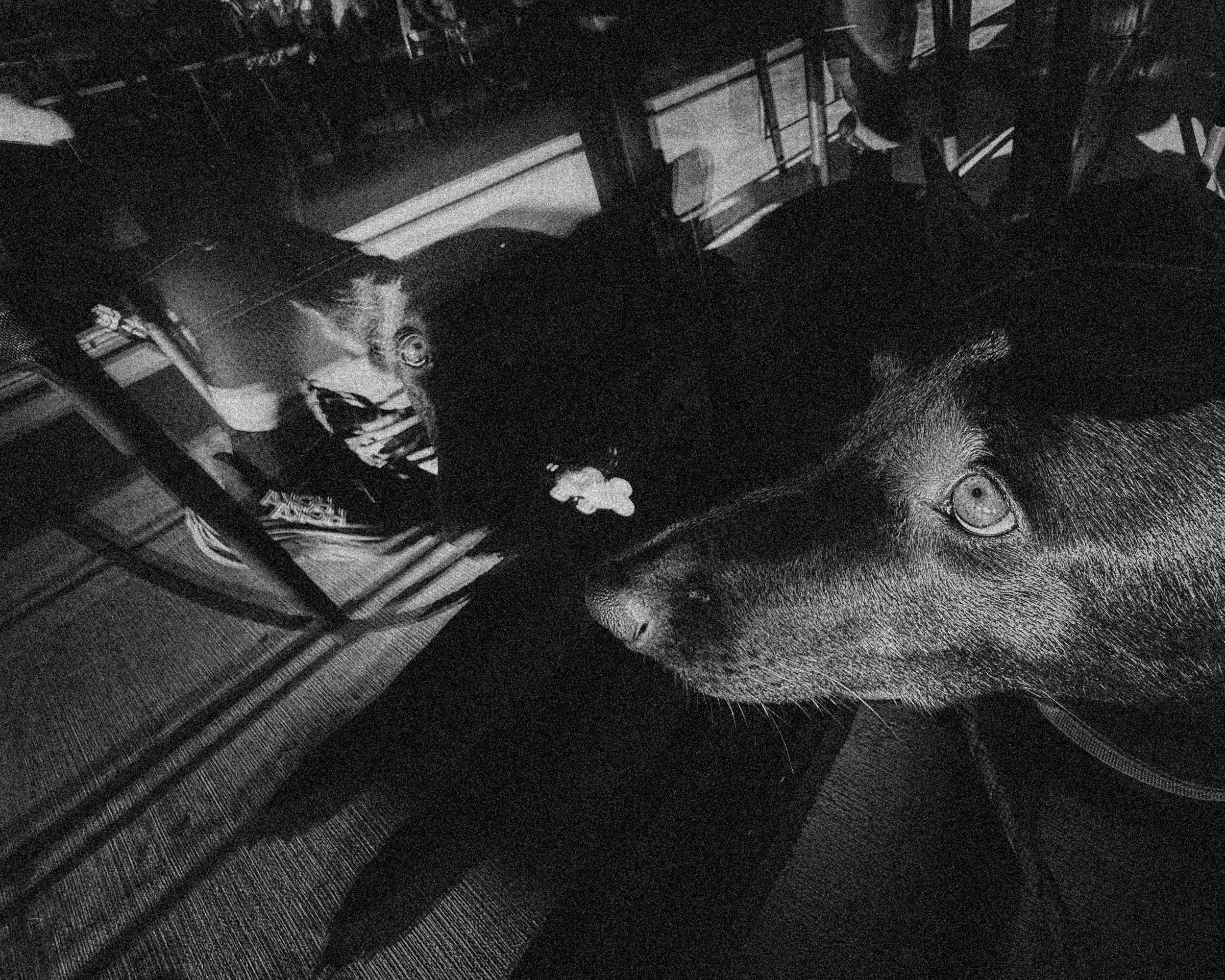 Junie-2.jpg