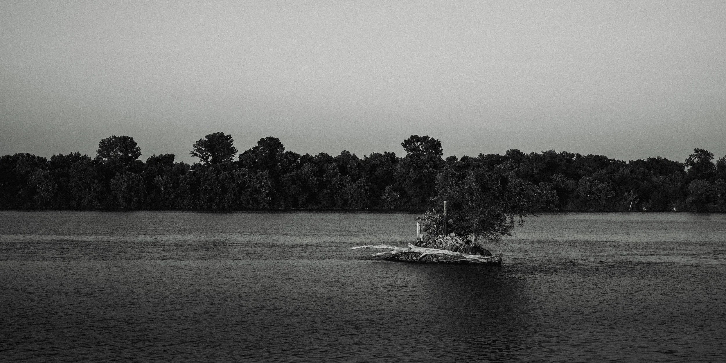 A black and white photo of a small island with trees in the water, with a larger forested shoreline in the background.