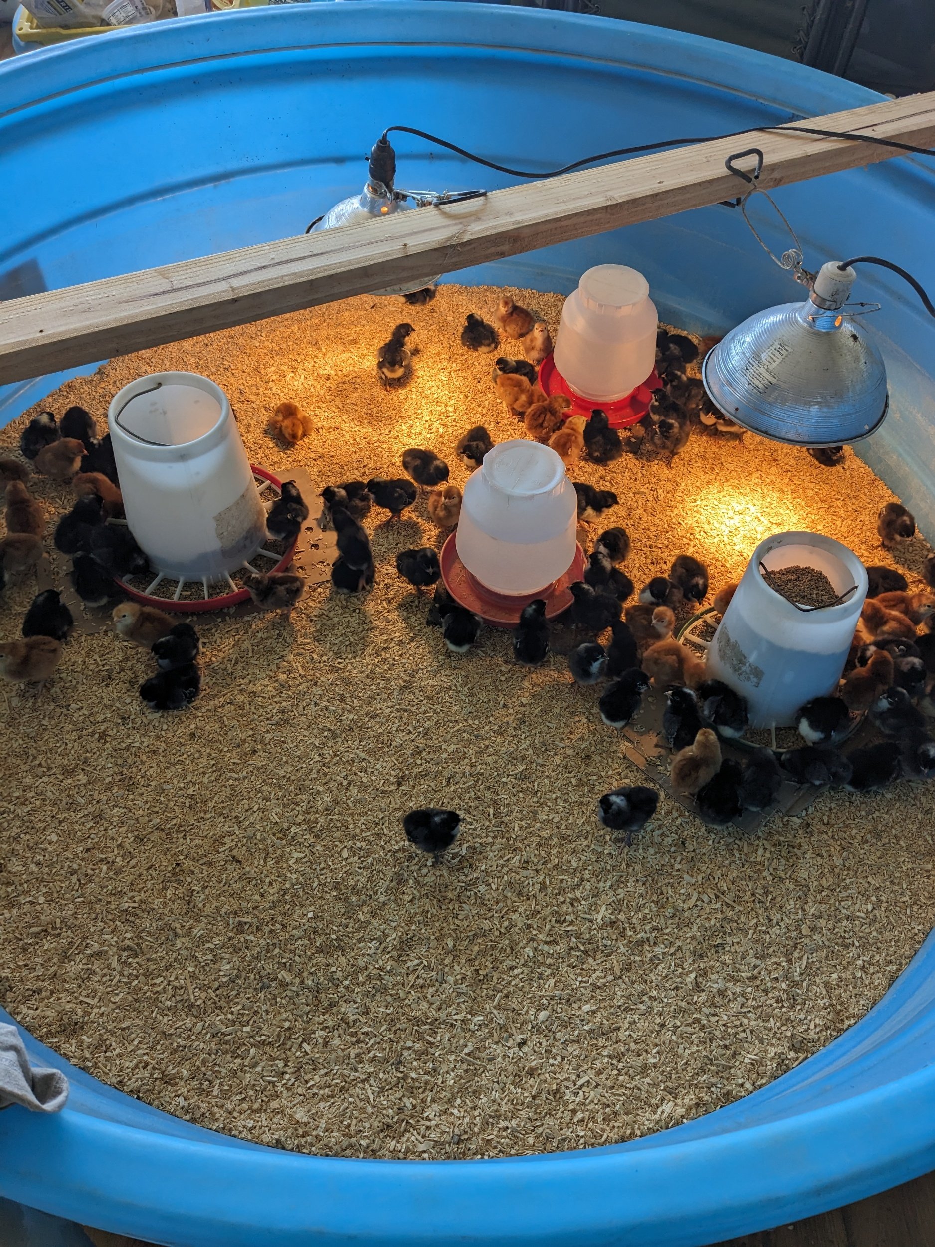 processed_PXL_20230927_171744439.jpg