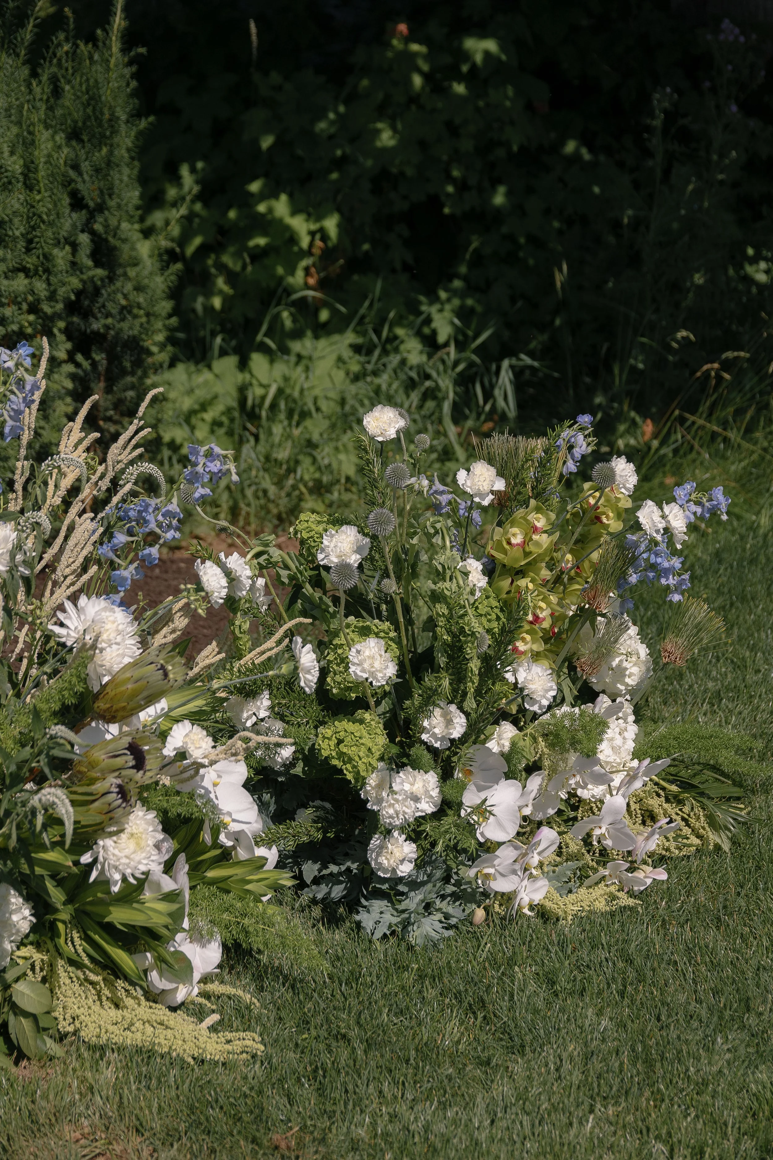 0O3A7656.jpg