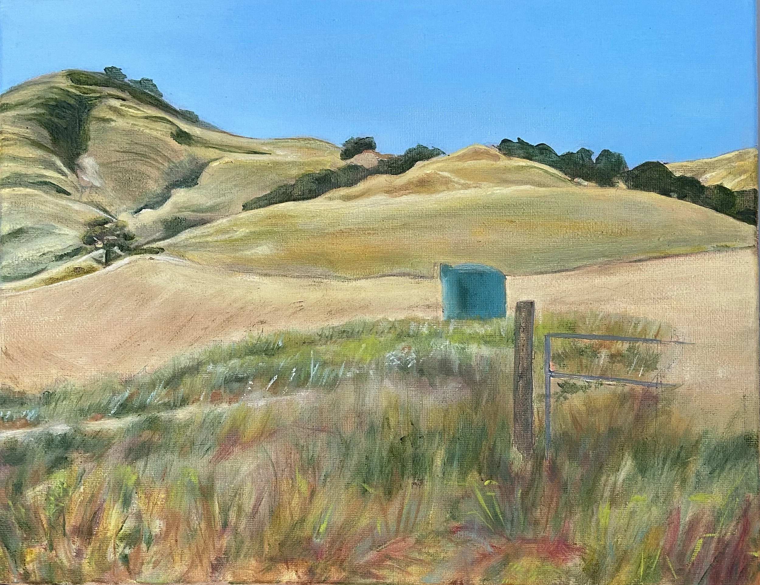 Agscape oil painting, "San Antonio"