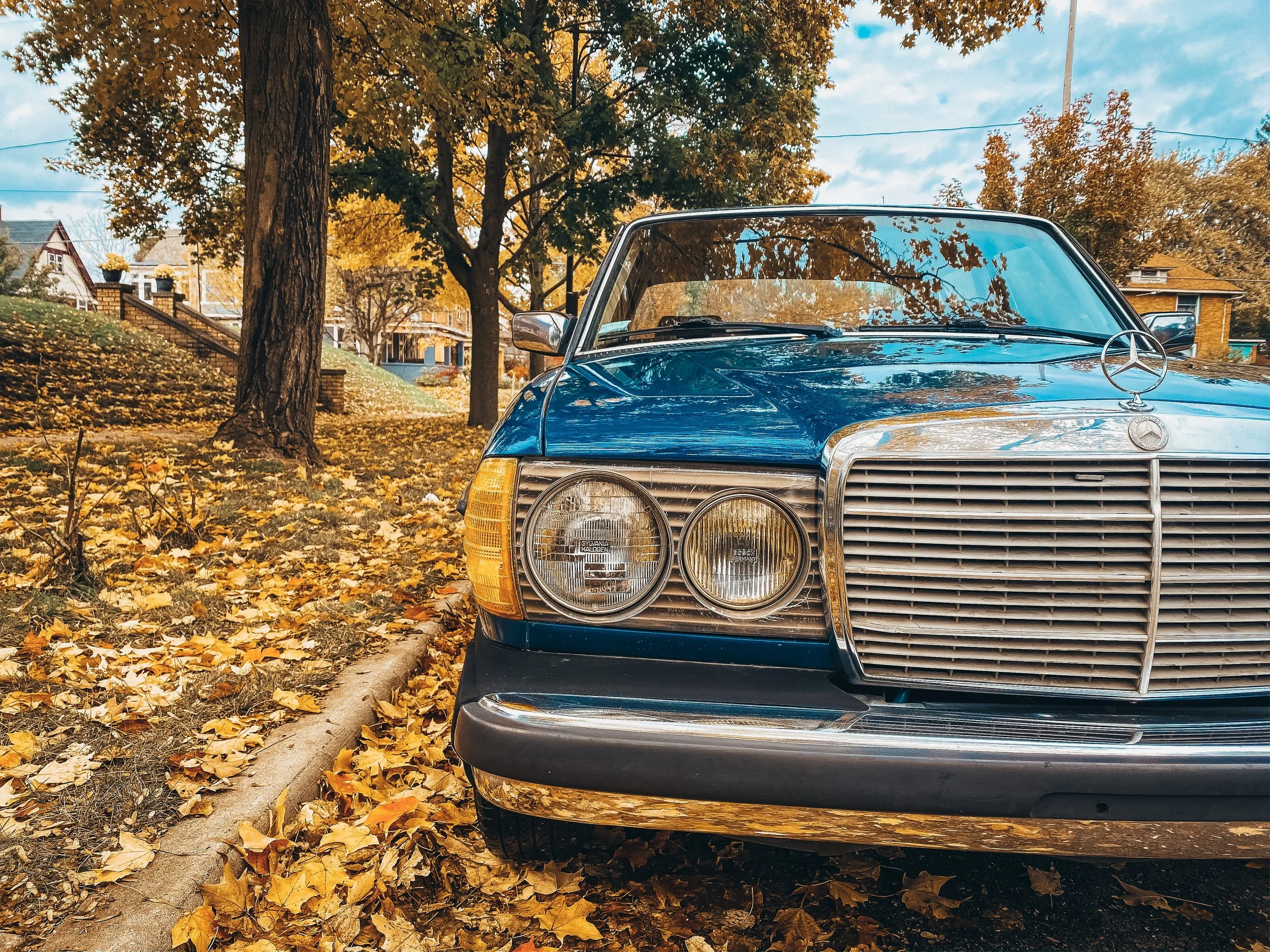 blue mercedes in fall