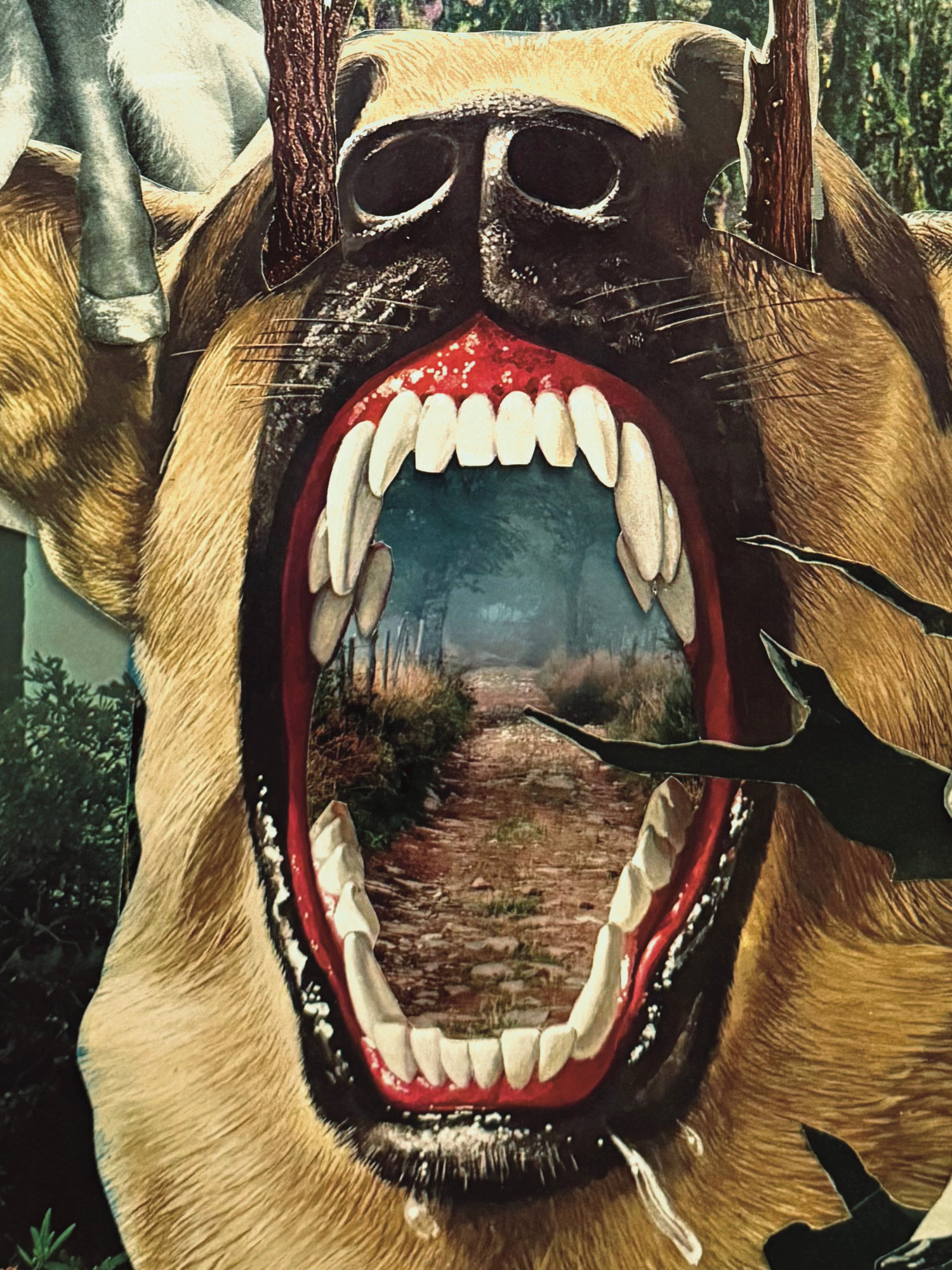 Copy of Untitled (1500 x 2000 px) - 18.png