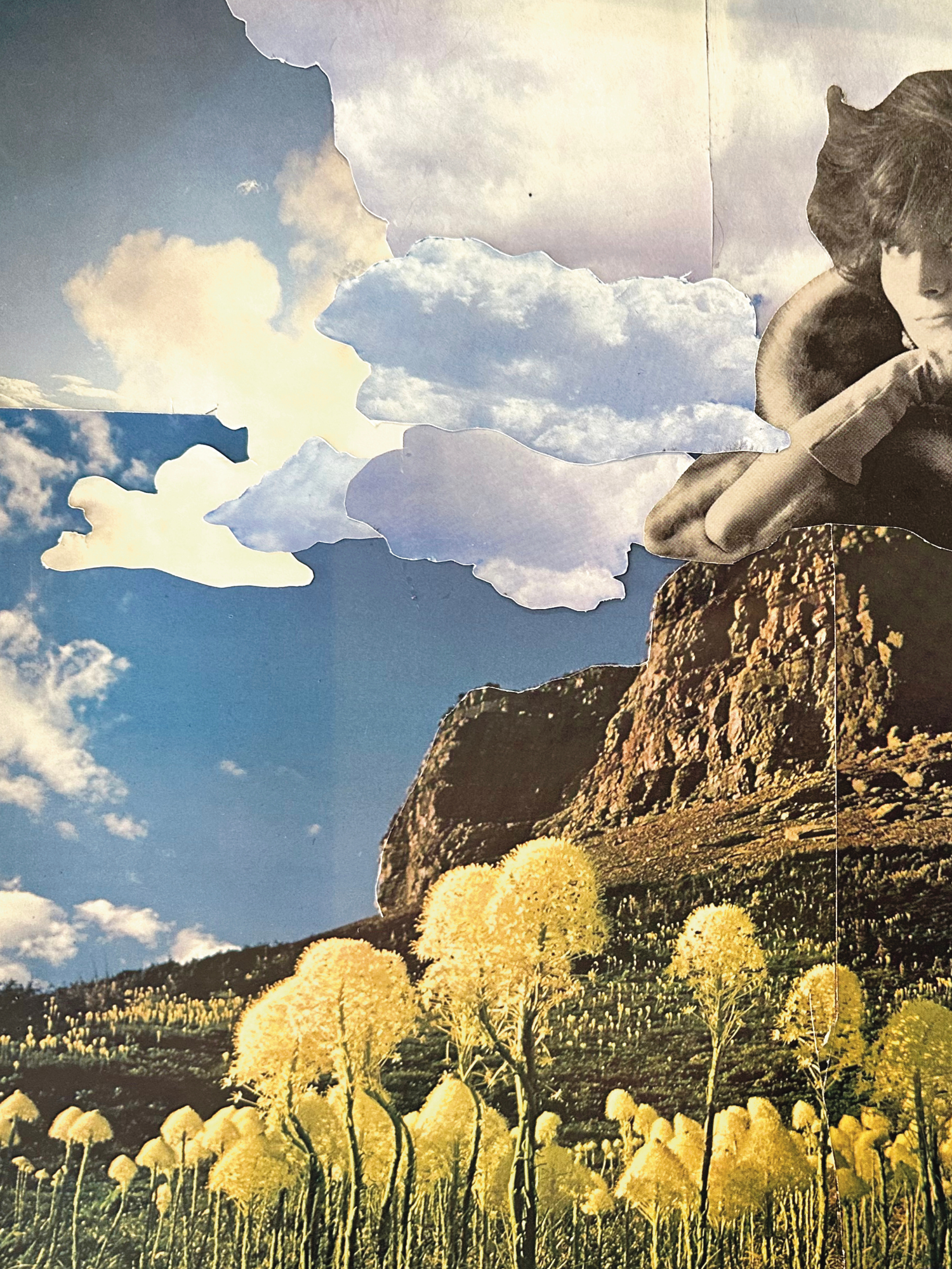 Copy of Untitled (1500 x 2000 px) - 29.png