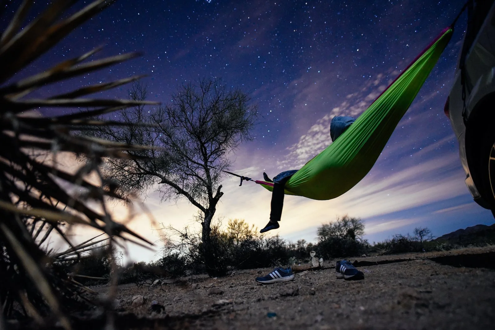 Roh_Phoenix_Questival_0004.jpg