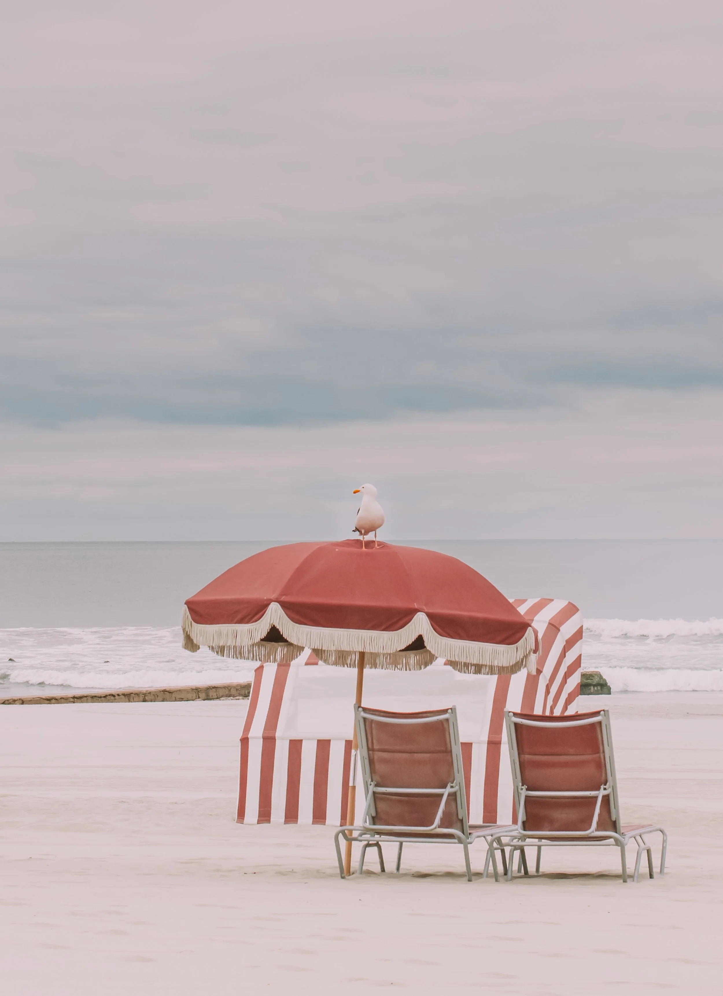 A beach scene in Coronado,Ca.