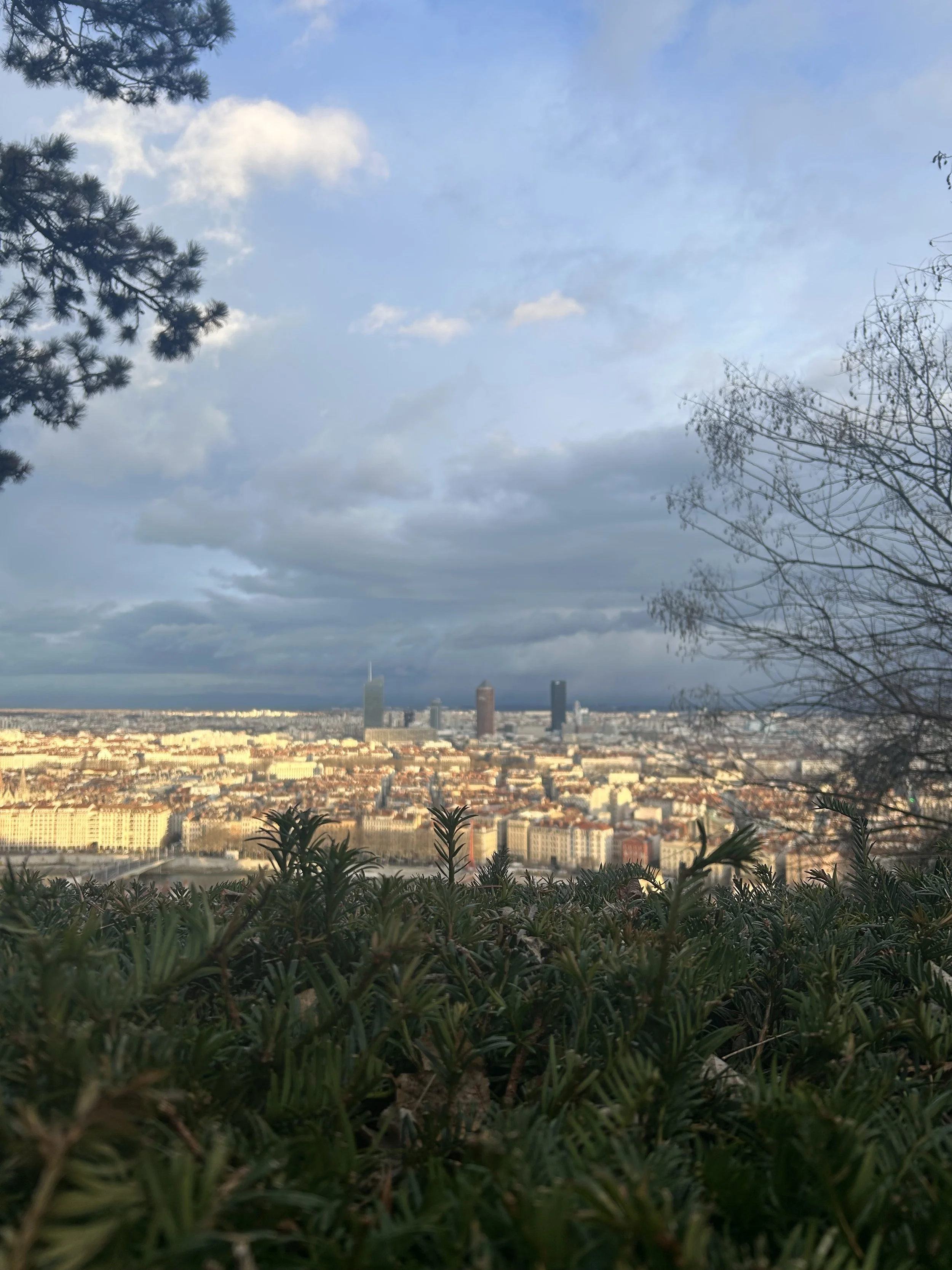 IMG_4866.jpeg