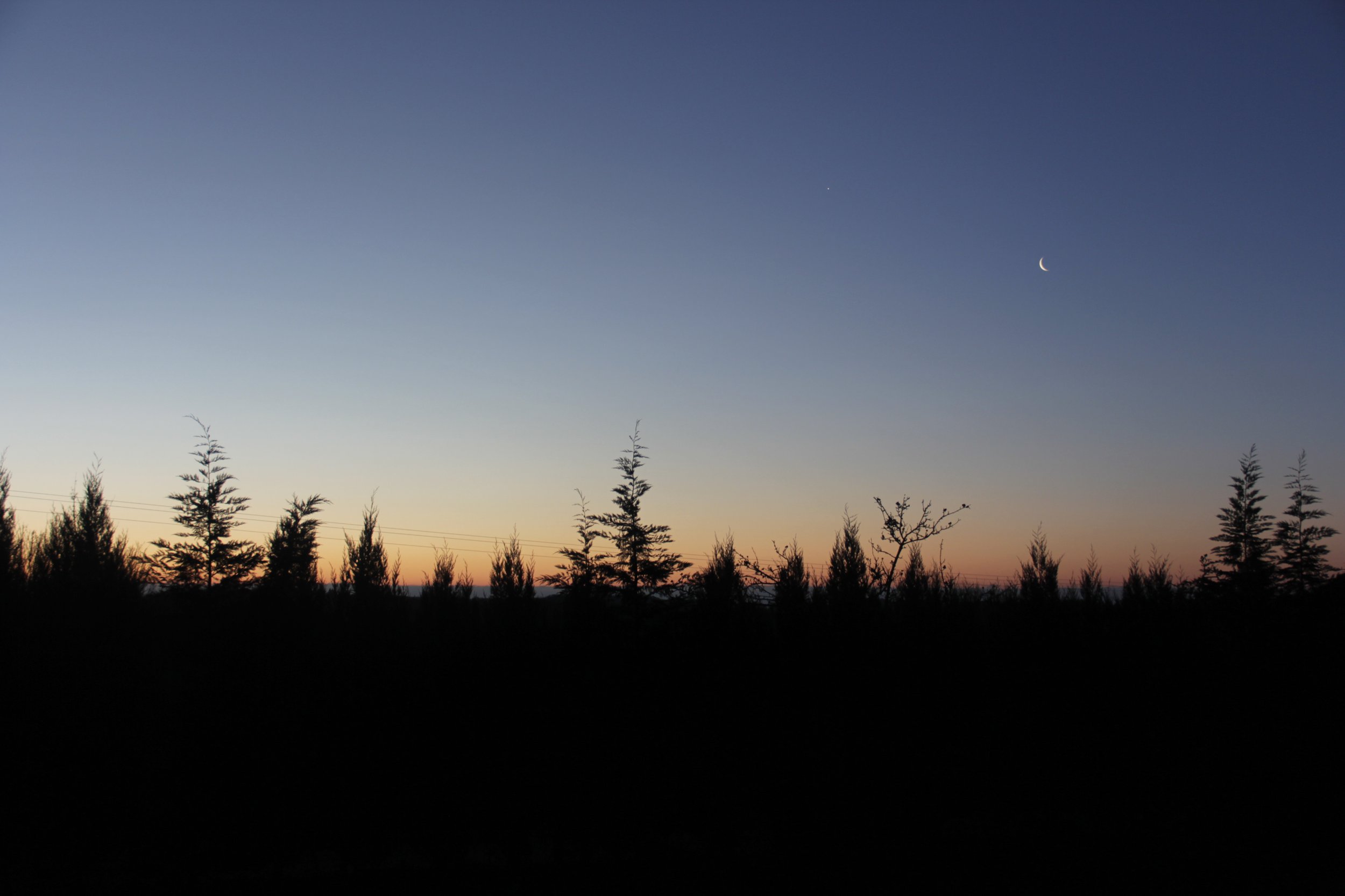 _MG_1043.JPG
