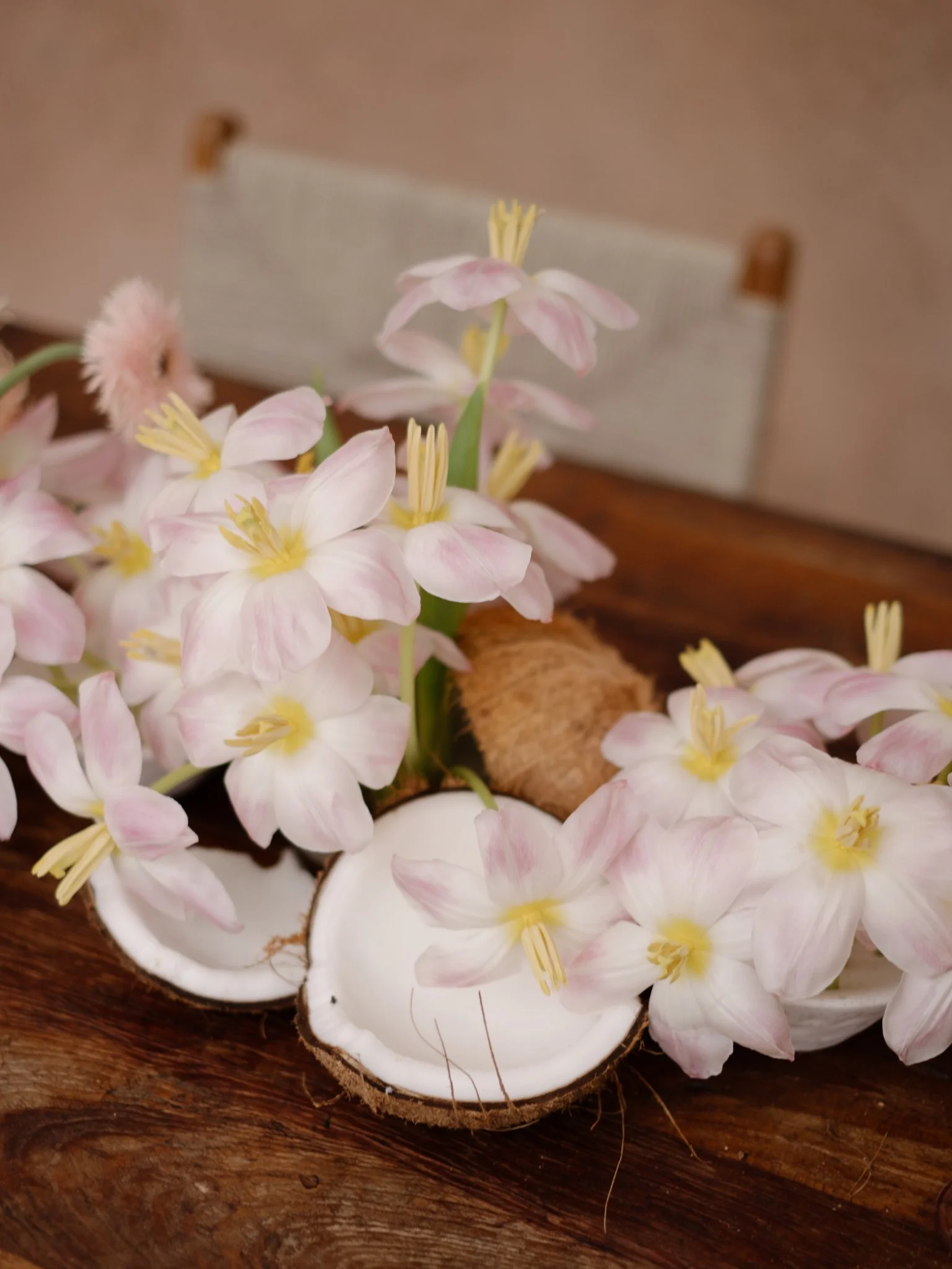 Pink and white flowers in white bowls on a wooden surface.