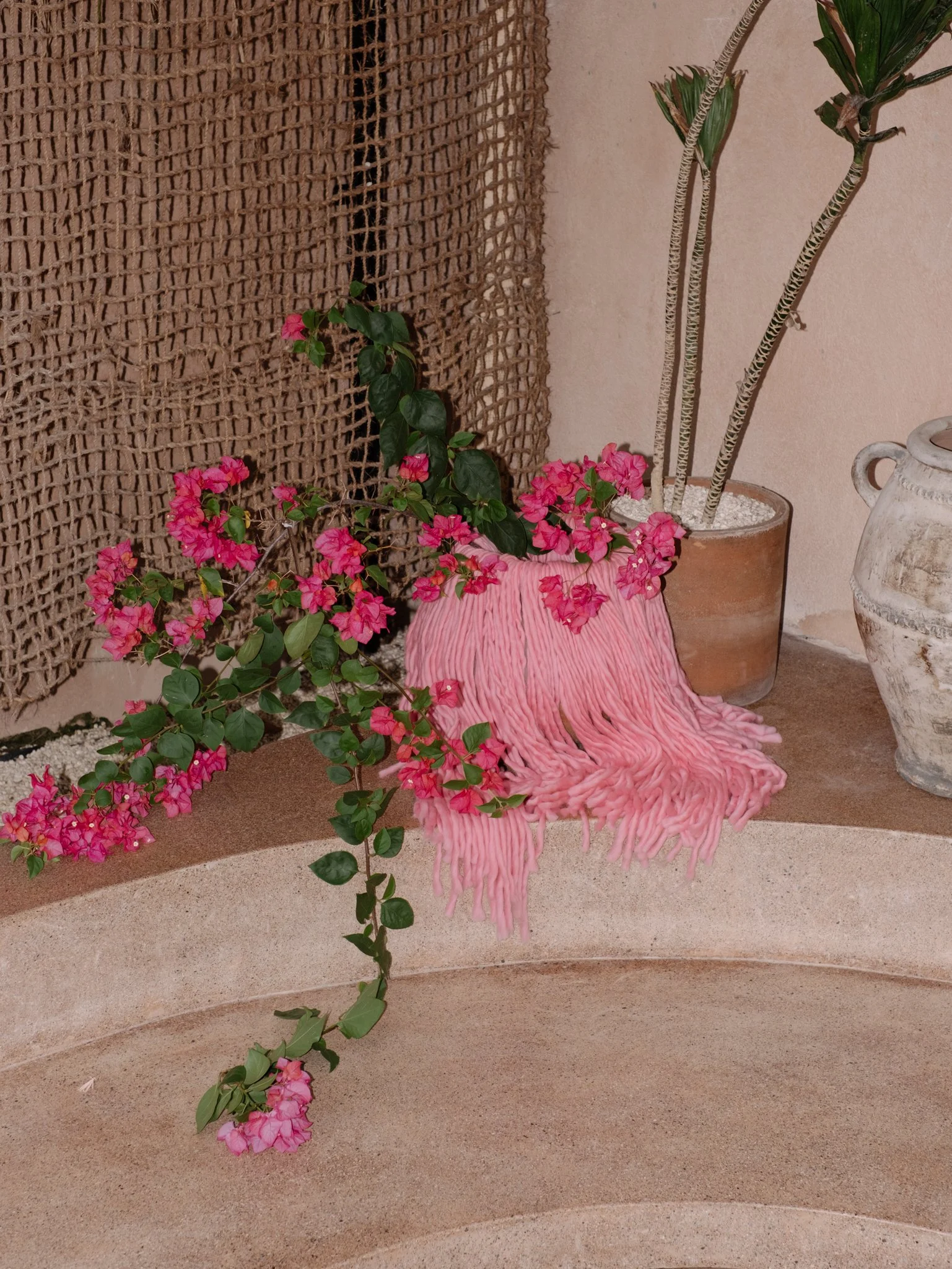 A decorative indoor scene with pink flowering plants, a textured pink towel draped over a pot, a beige woven screen, and two tall variegated plants in a large brown pot, all set against a light wall and curved surface floor.