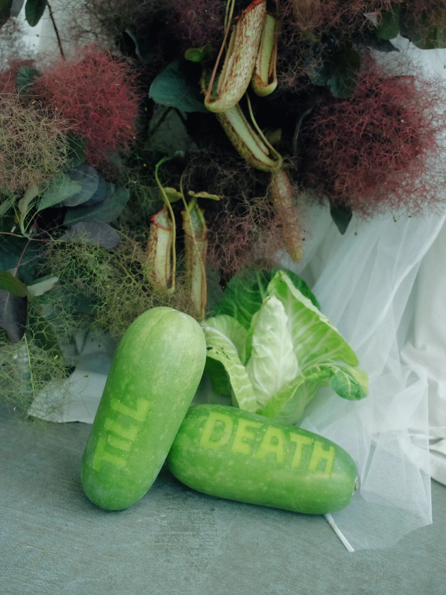 Several green zucchinis, various leafy plants, and a mesh bag with yellow lettering that reads 'HIDDEN'.