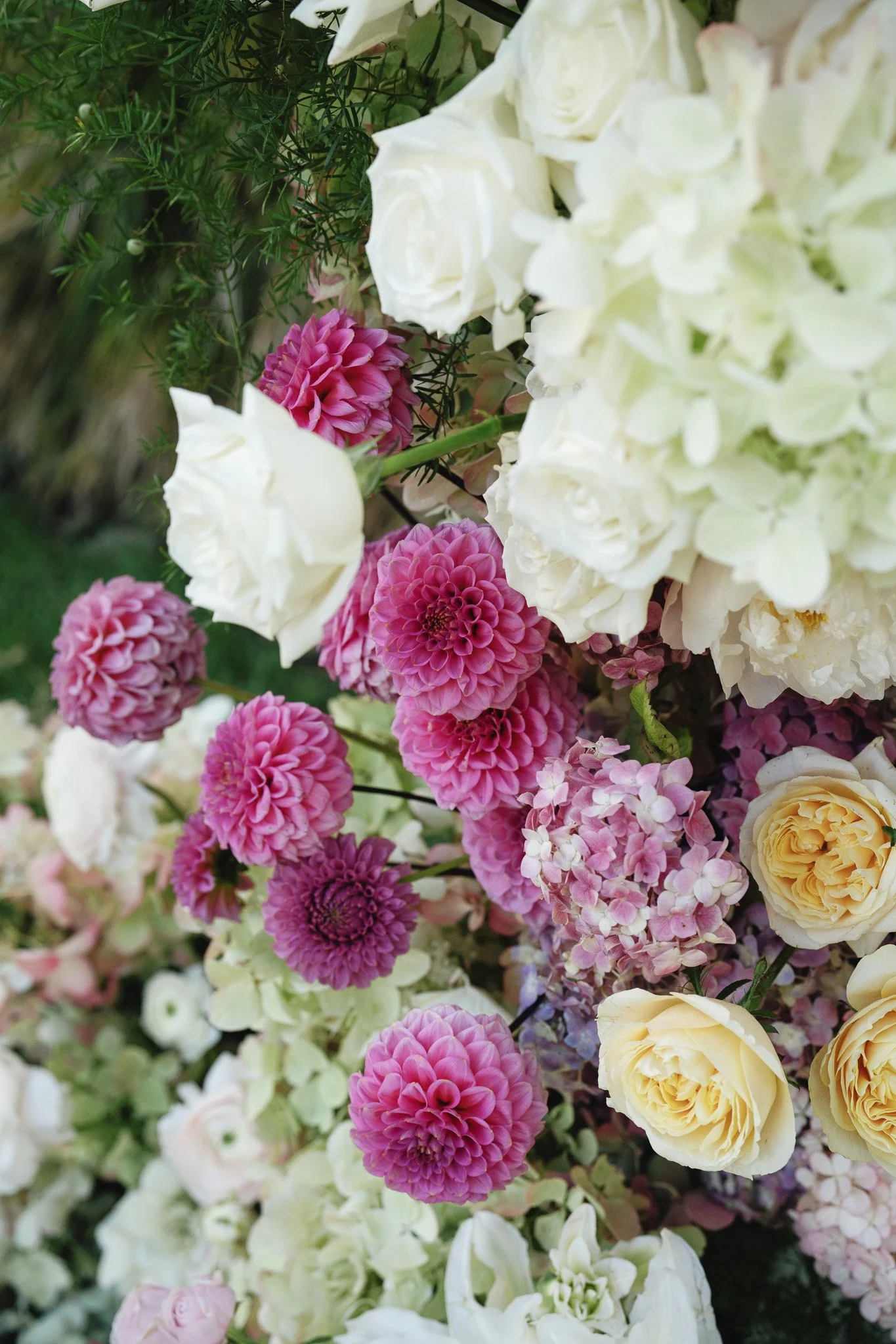 A close-up of a floral arrangement with white roses, pink dahlias, and white hydrangeas, along with green foliage.