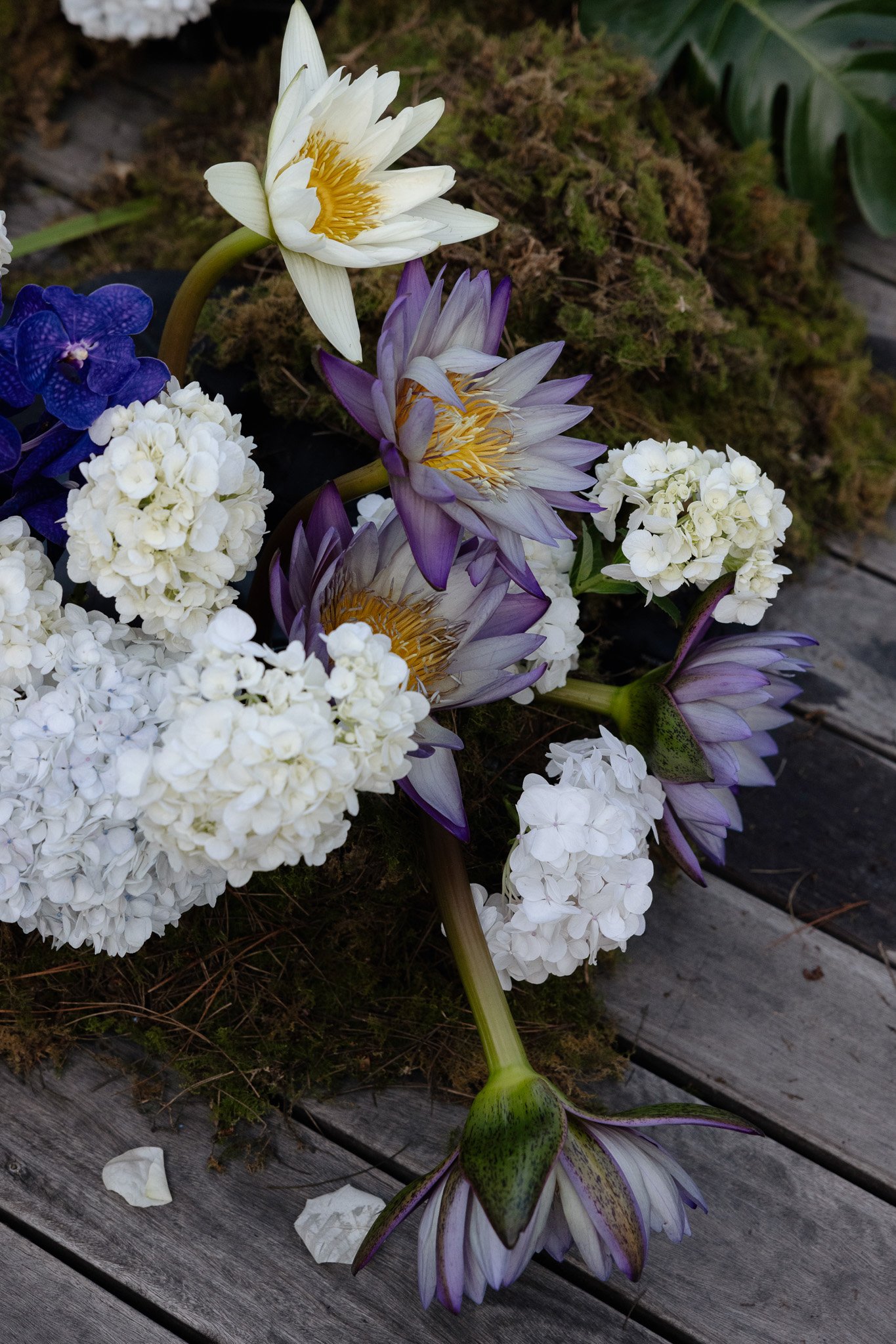 Bouquet of white and purple water lilies and white hydrangeas on a wooden surface with moss and leaves in the background.
