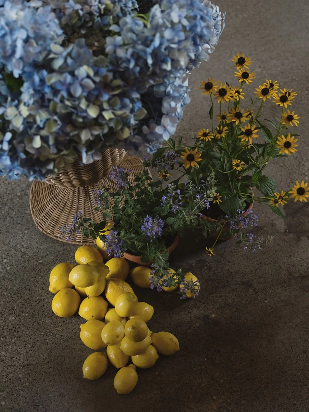 A bouquet of blue hydrangeas in a wicker basket, a pot of yellow flowers with dark centers, a cluster of yellow lemons, and some smaller purple flowers on a gray concrete surface.
