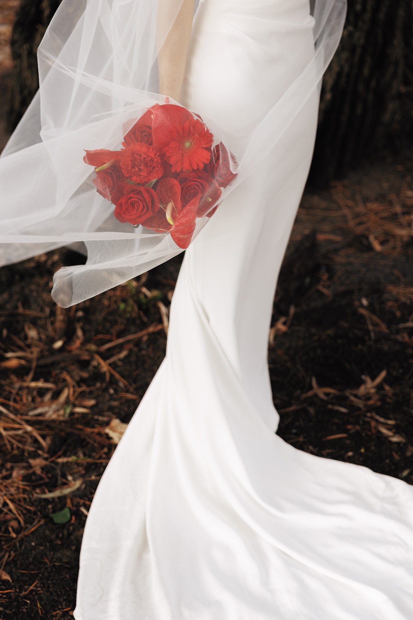 A bouquet of red flowers wrapped in clear tulle fabric, resting on a white fabric or dress with a dark earthy background.