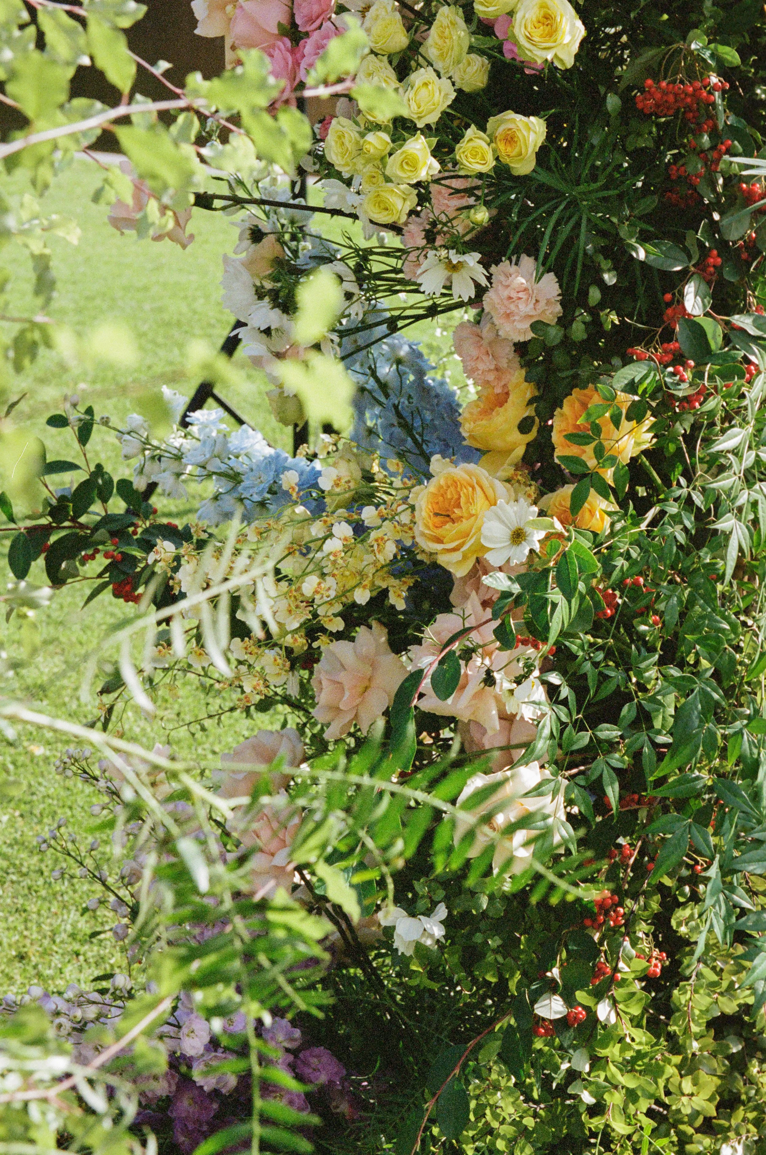 A colorful flower arrangement with yellow roses, white daisies, pink/peach carnations, purple and white irises, red berries, and green foliage.
