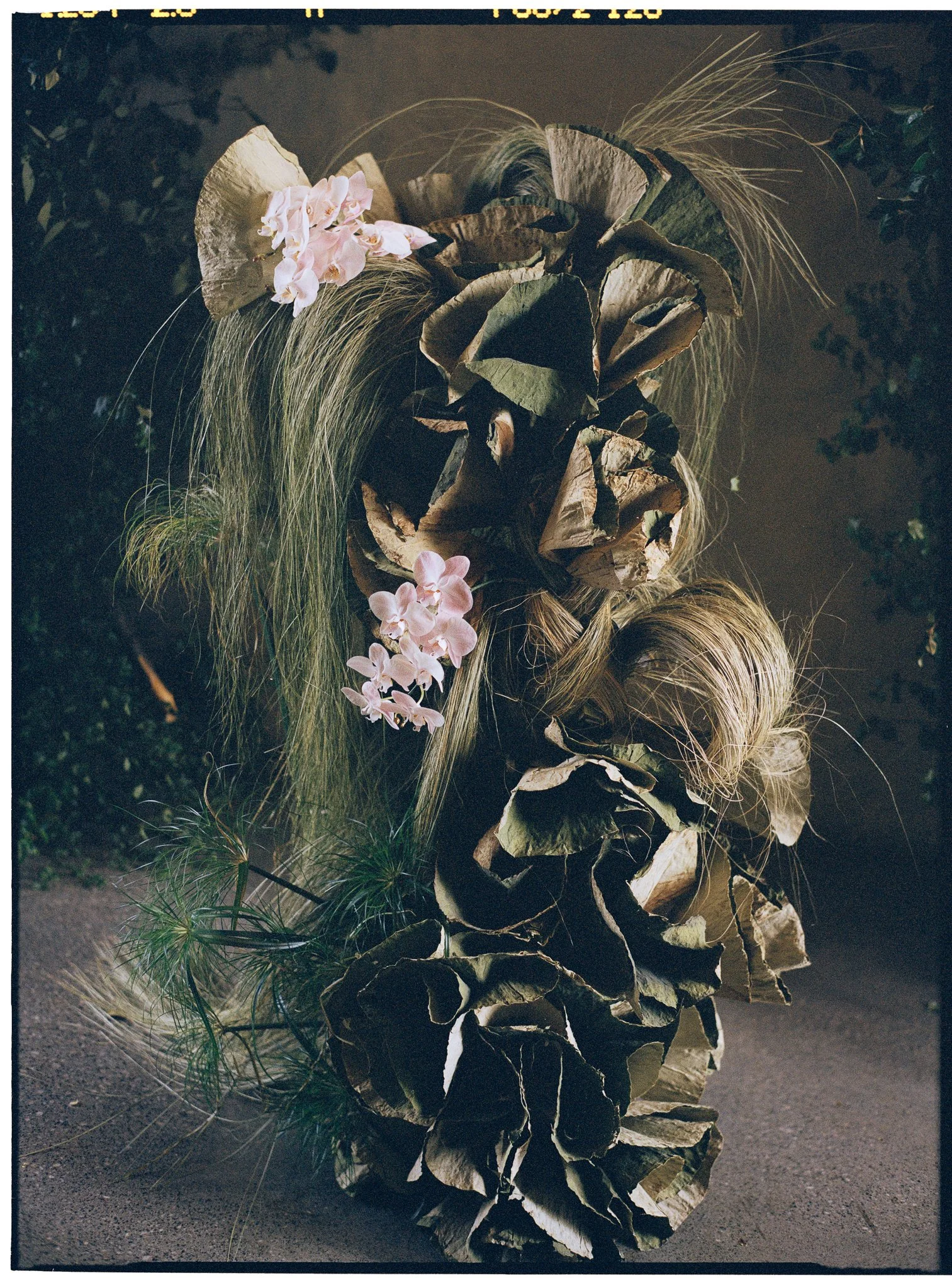 A floral arrangement with dried leaves, pink orchids, and green pine needles on a dark surface.
