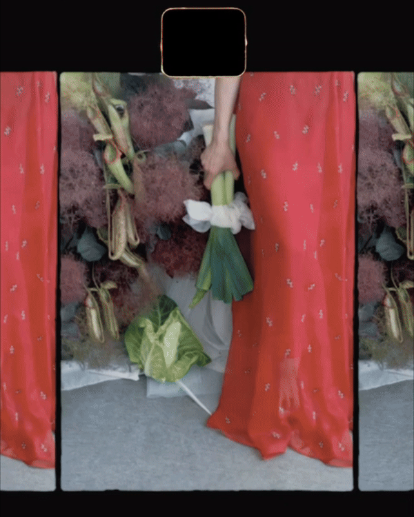 A display of various vegetables, including a bunch of leeks, cabbage, and what appears to be Chinese cabbage, arranged in front of red curtains with a textured gray floor.