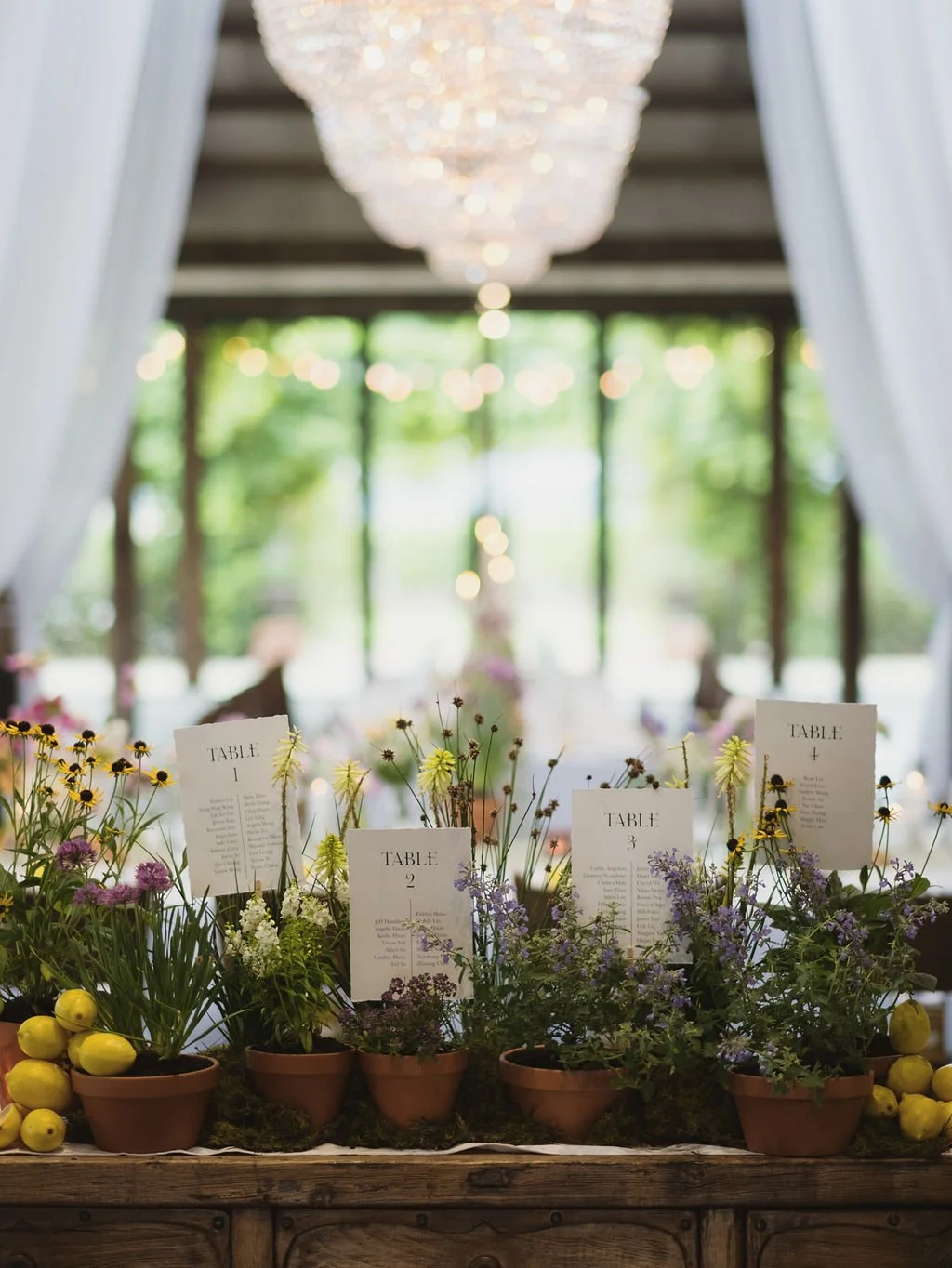 Table centerpieces with potted plants, small yellow apples, and event seating charts, under a chandelier at an outdoor reception.