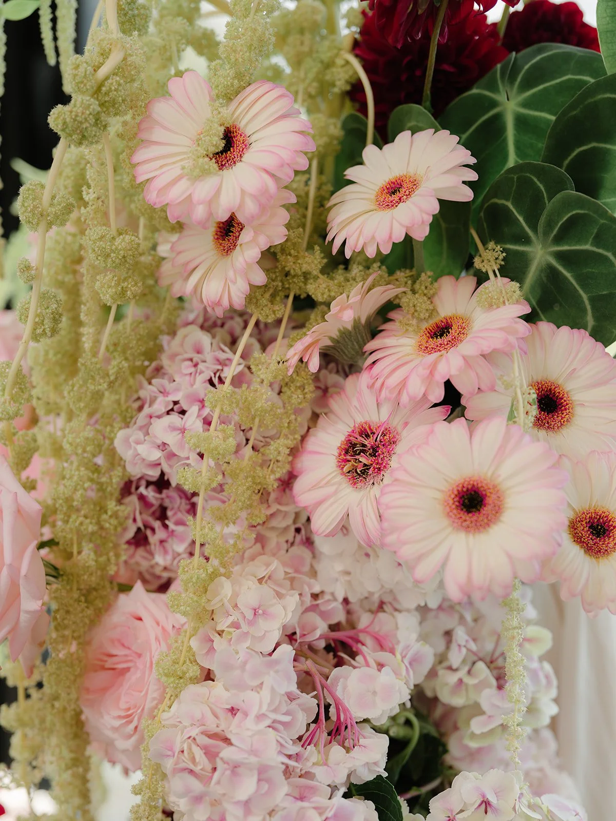 Close-up of a floral arrangement with pink and white daisies, green leaves, and yellow-green sprigs.