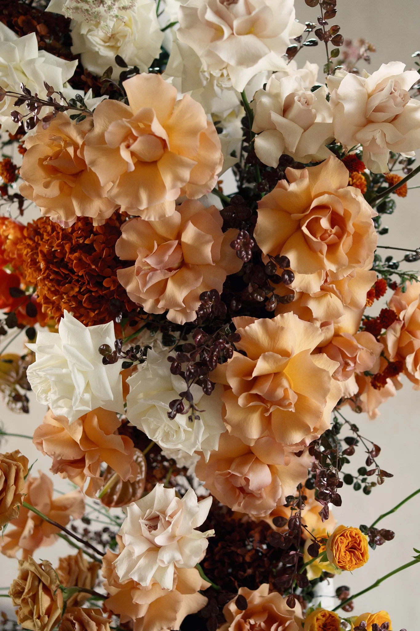 Close-up of a mixed bouquet of flowers with cream, peach, and orange blossoms, complemented by dark purple and green foliage.