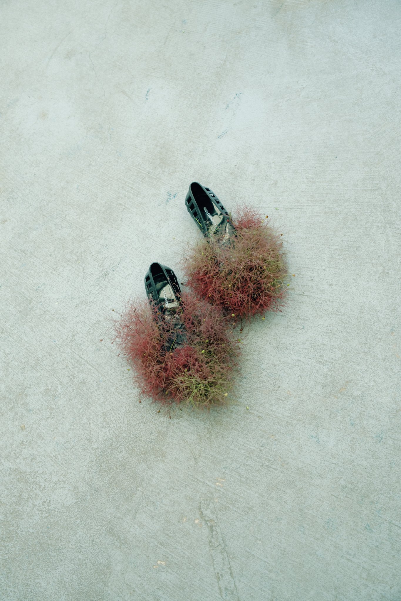 Black sandals placed on a concrete floor surrounded by pink and greenish dried plants.