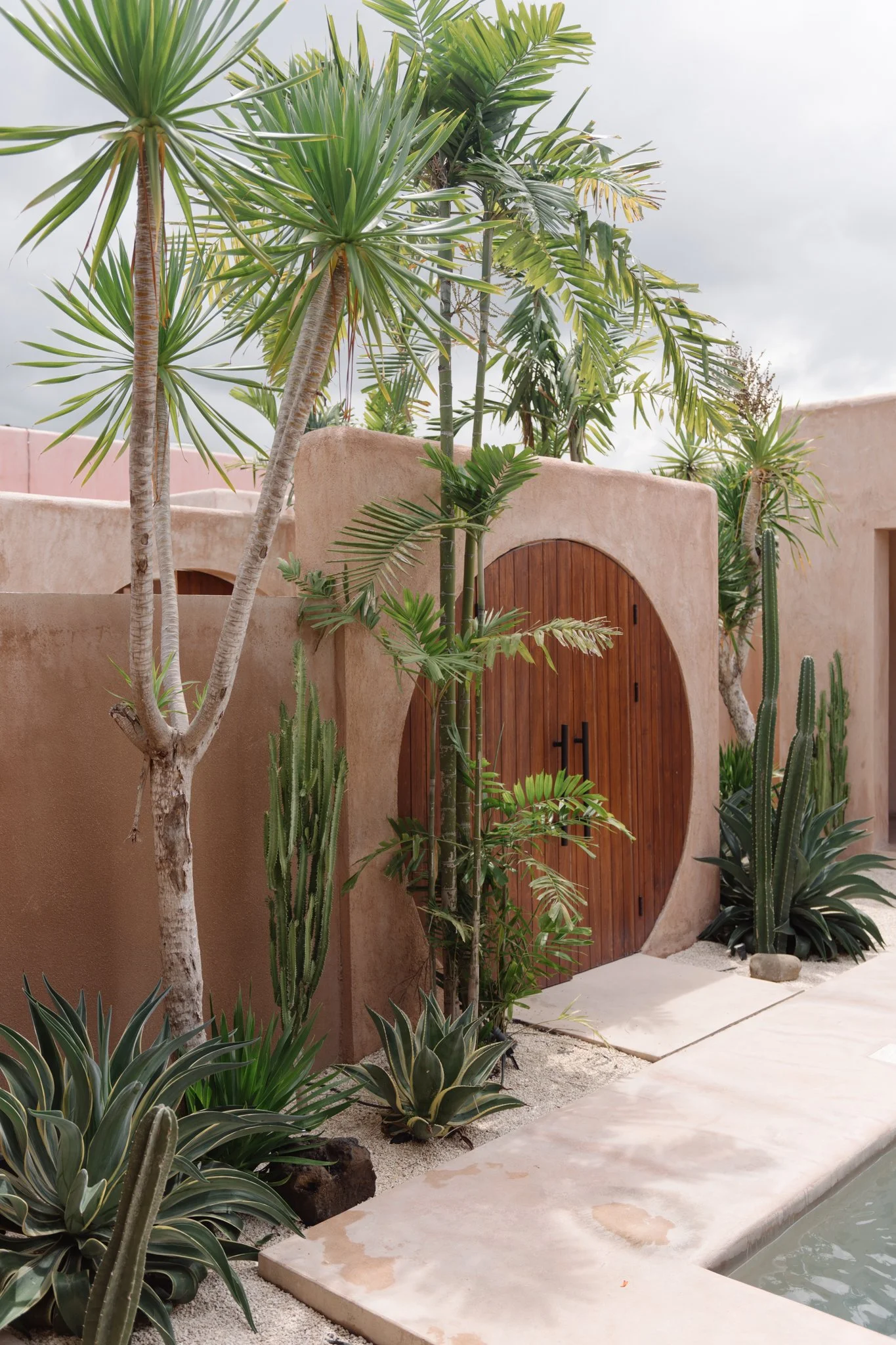 Desert garden with tall palms, cacti, and succulents in front of a stucco wall with a wooden door, next to a pond with a sandy edge.